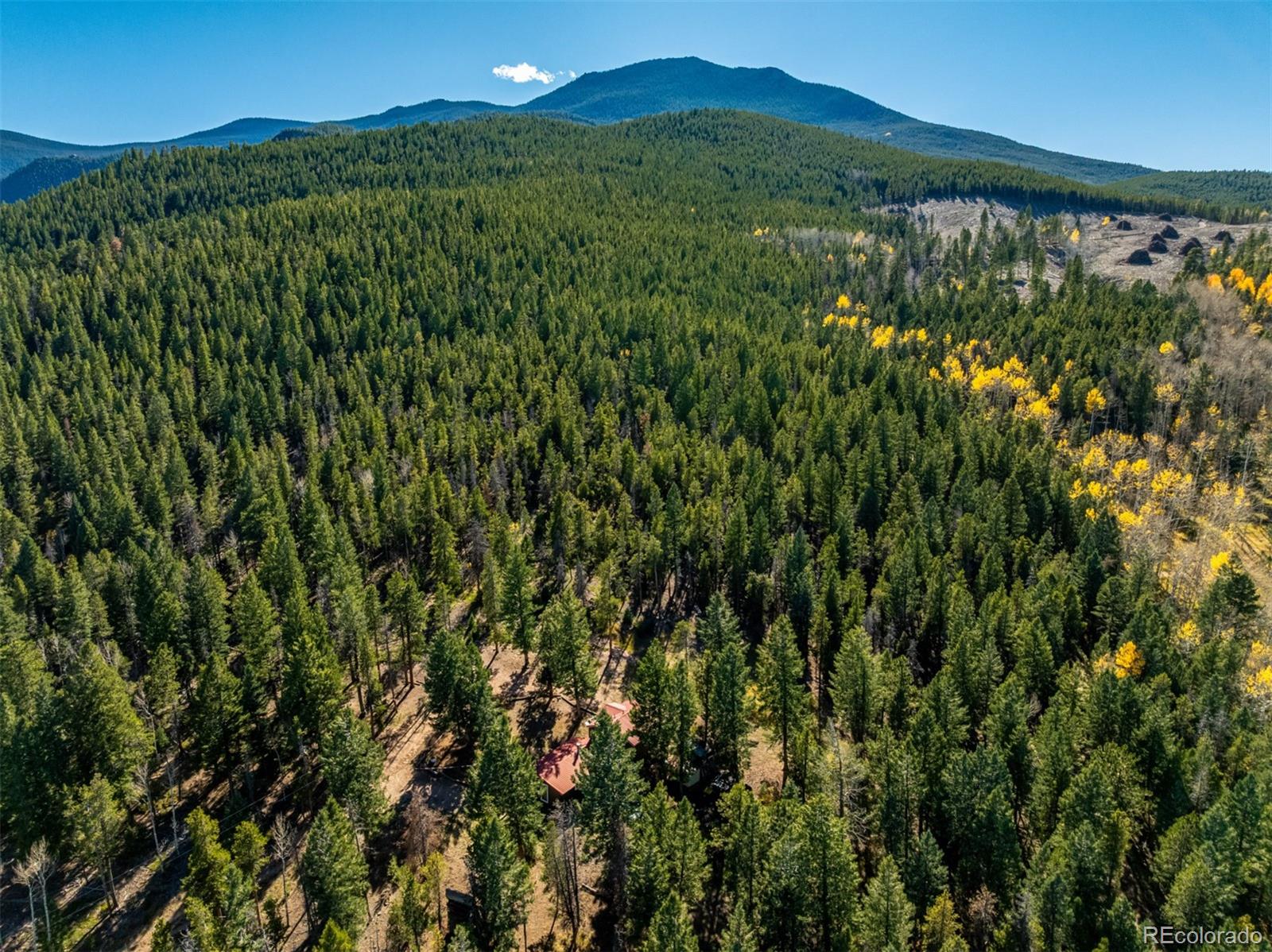 MLS Image #29 for 7593  cr 68 ,bailey, Colorado