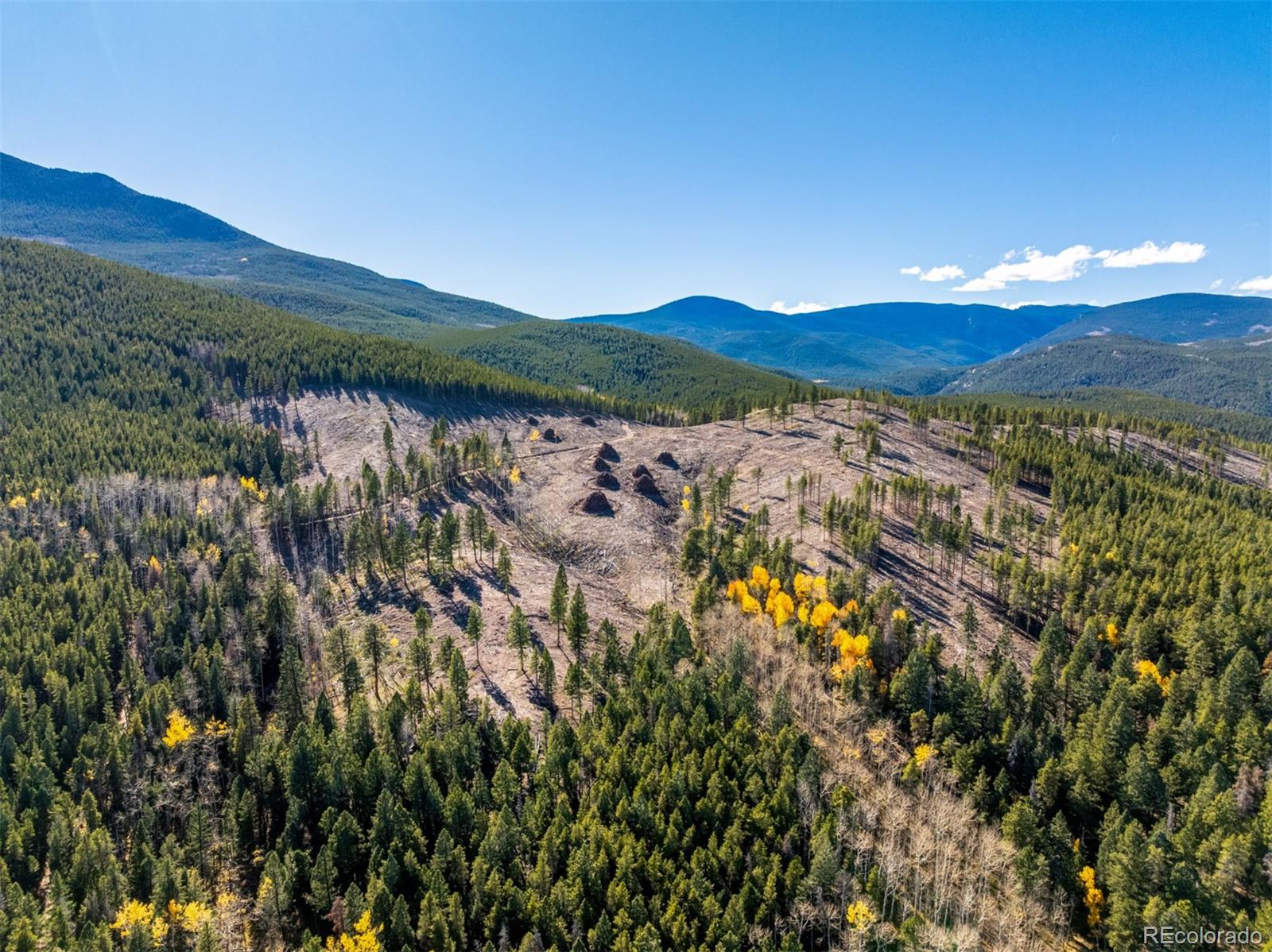 MLS Image #36 for 7593  cr 68 ,bailey, Colorado
