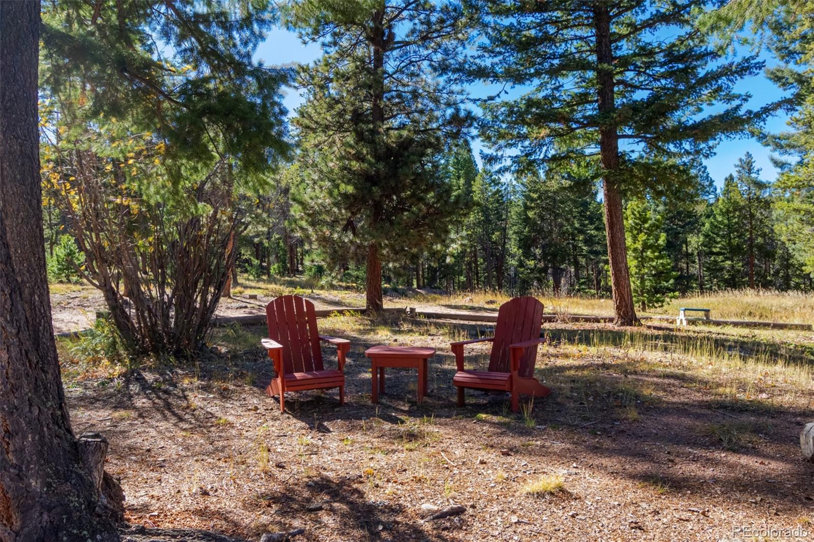 MLS Image #48 for 7593  cr 68 ,bailey, Colorado