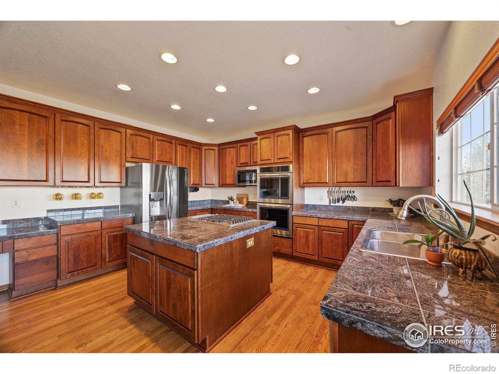 MLS Image #15 for 1357  golden currant court,fort collins, Colorado