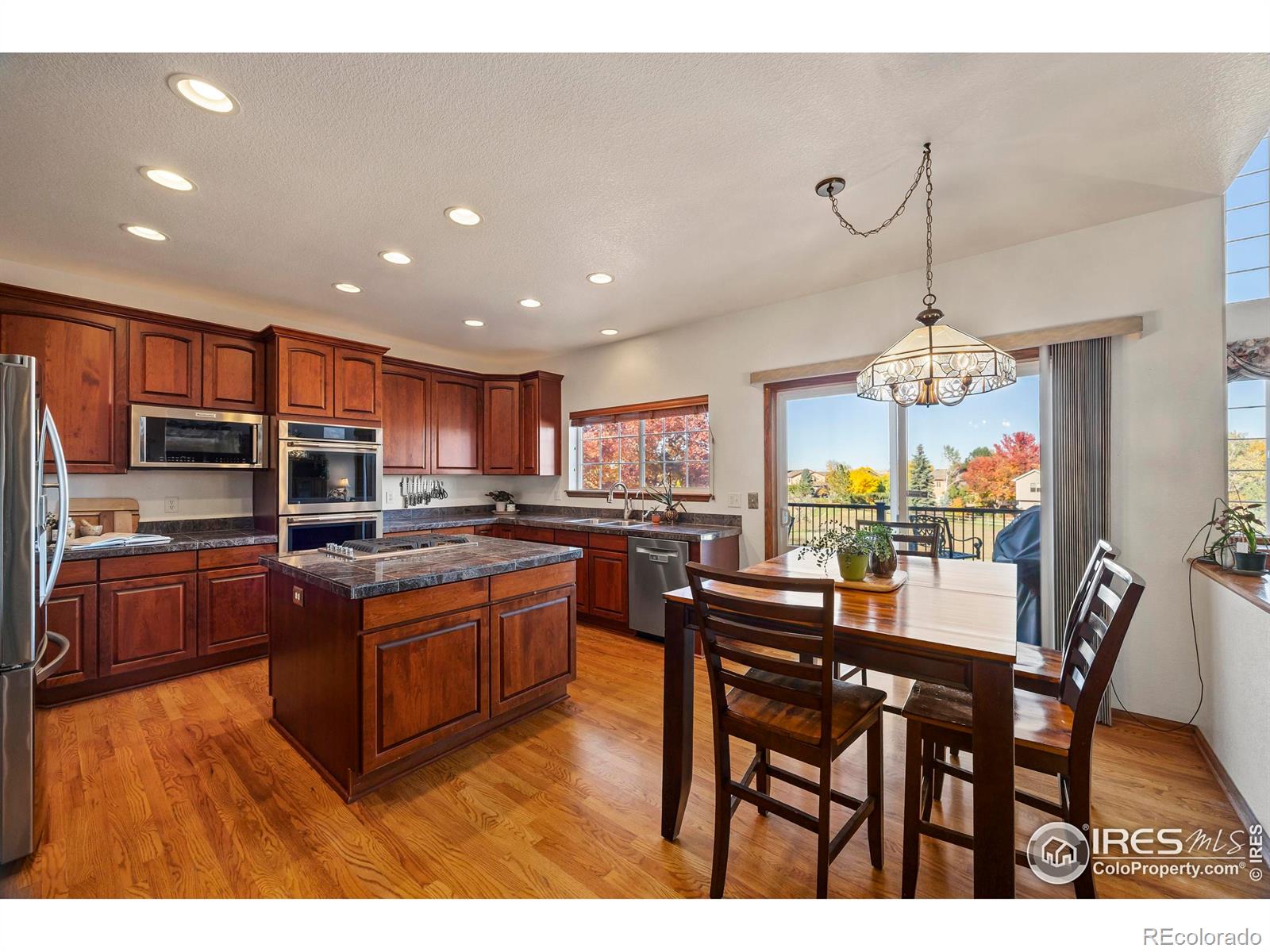 MLS Image #16 for 1357  golden currant court,fort collins, Colorado