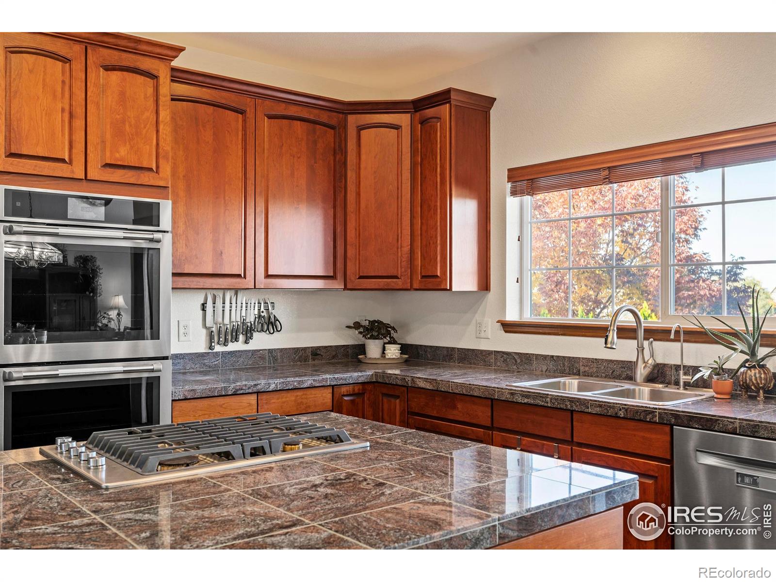 MLS Image #17 for 1357  golden currant court,fort collins, Colorado