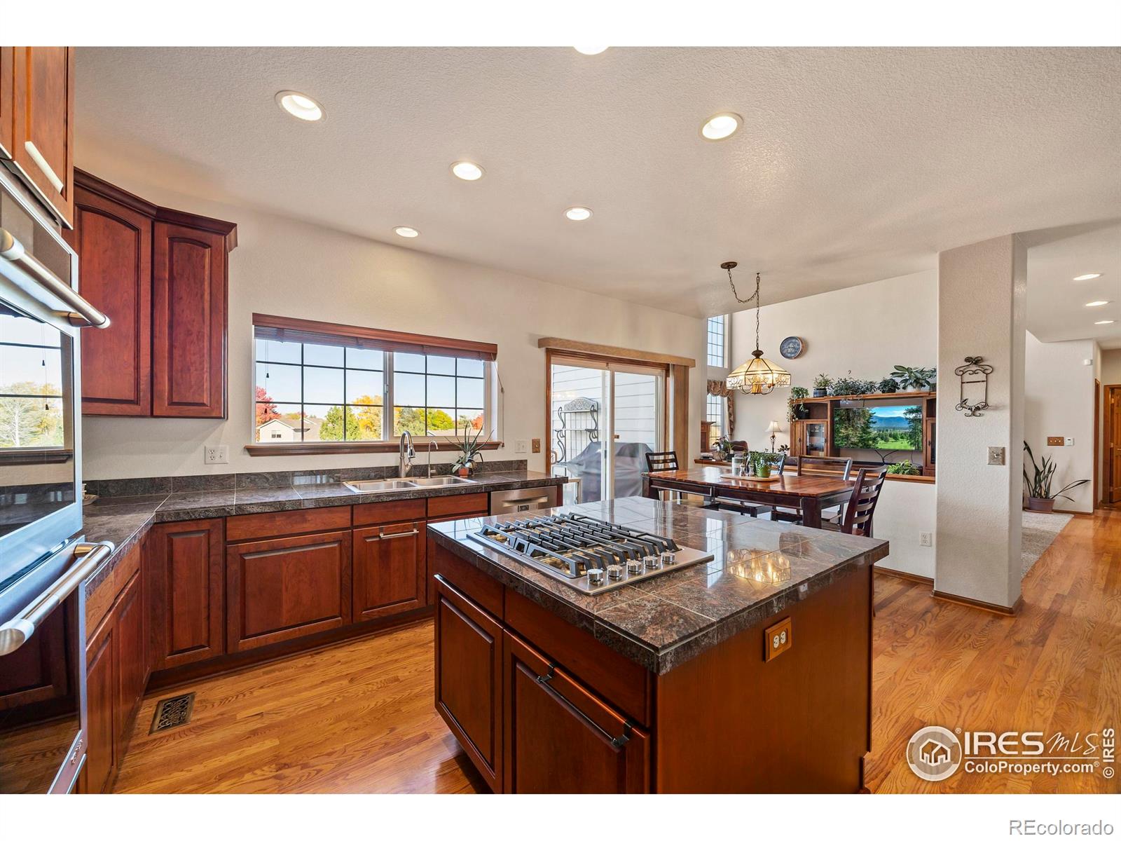 MLS Image #18 for 1357  golden currant court,fort collins, Colorado