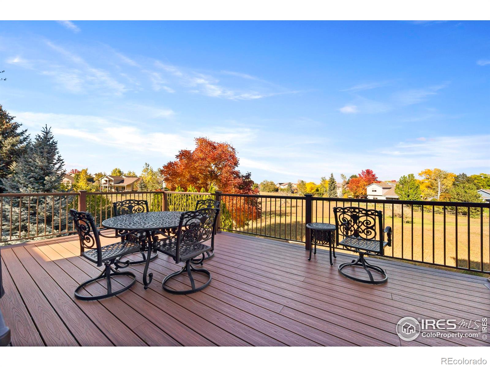 MLS Image #19 for 1357  golden currant court,fort collins, Colorado