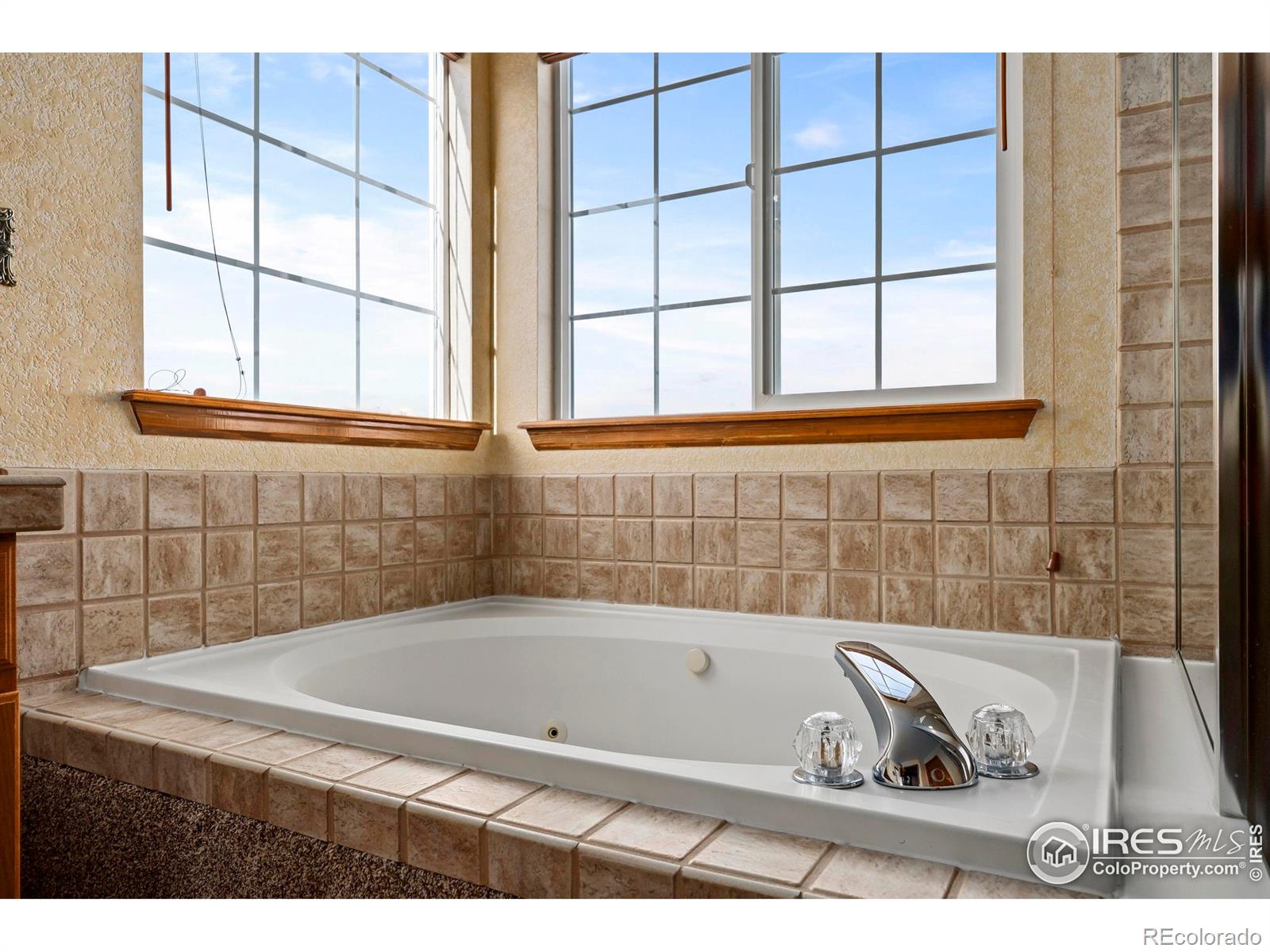MLS Image #24 for 1357  golden currant court,fort collins, Colorado