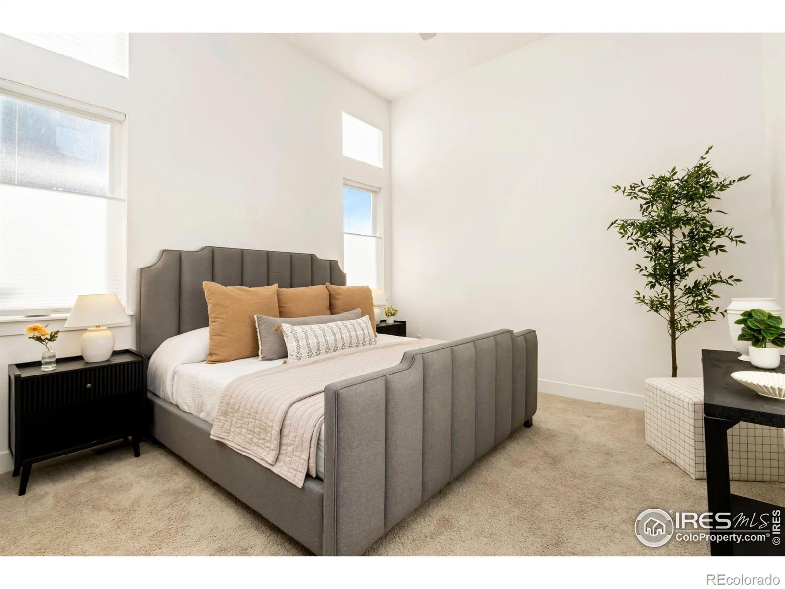 MLS Image #13 for 5051  john muir drive,timnath, Colorado