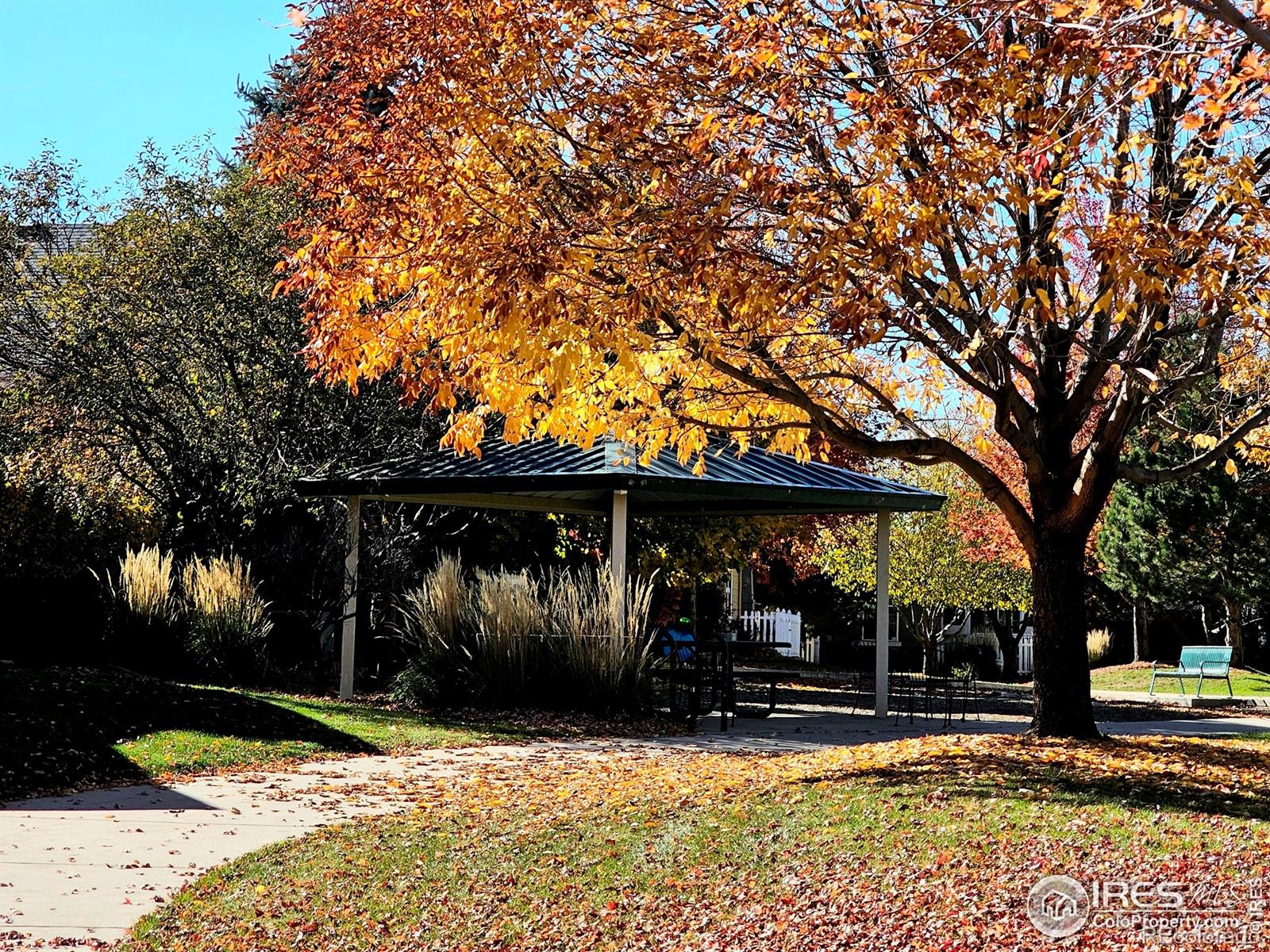 MLS Image #22 for 1020  village circle,erie, Colorado