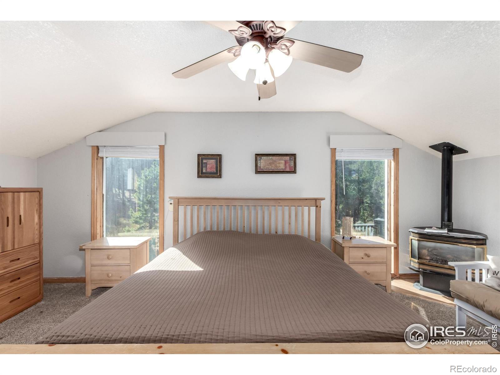 MLS Image #13 for 7593  county road 68 ,bailey, Colorado