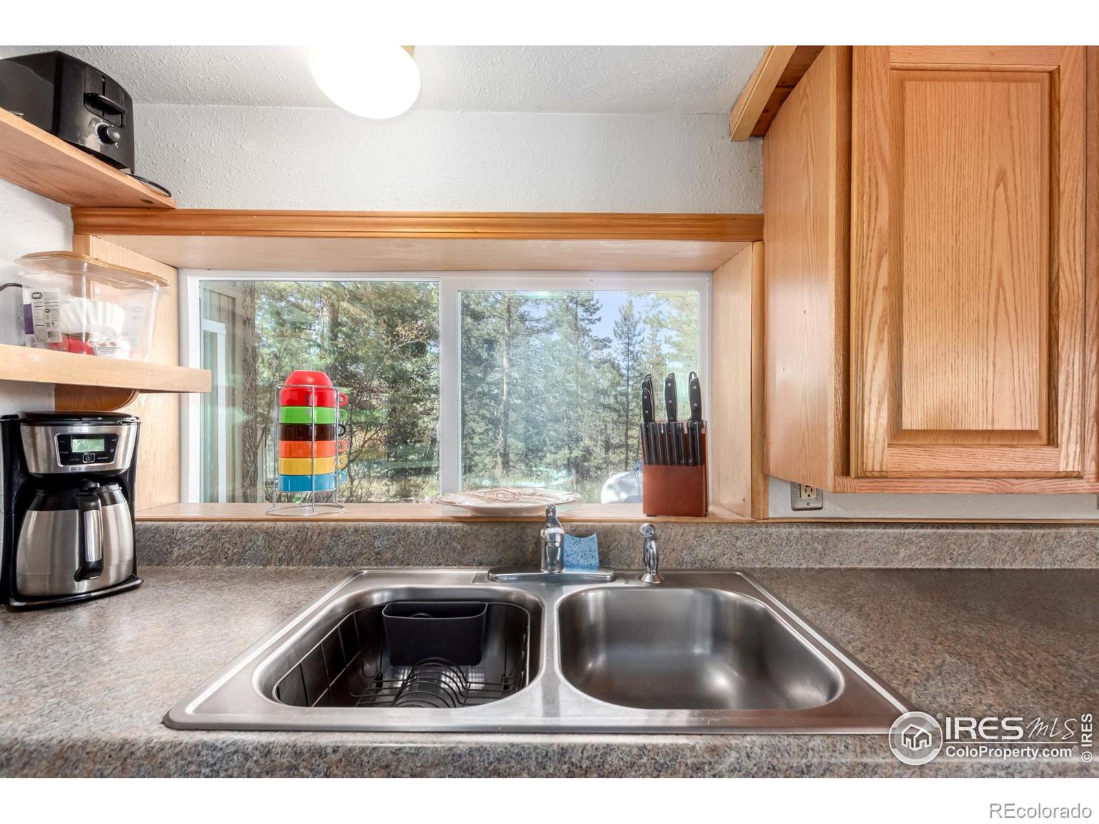 MLS Image #14 for 7593  county road 68 ,bailey, Colorado