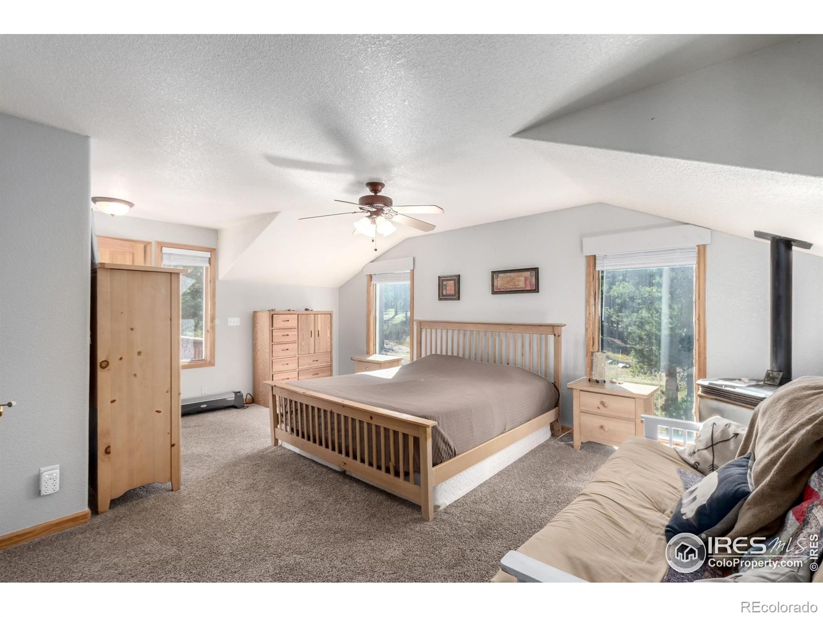 MLS Image #15 for 7593  county road 68 ,bailey, Colorado