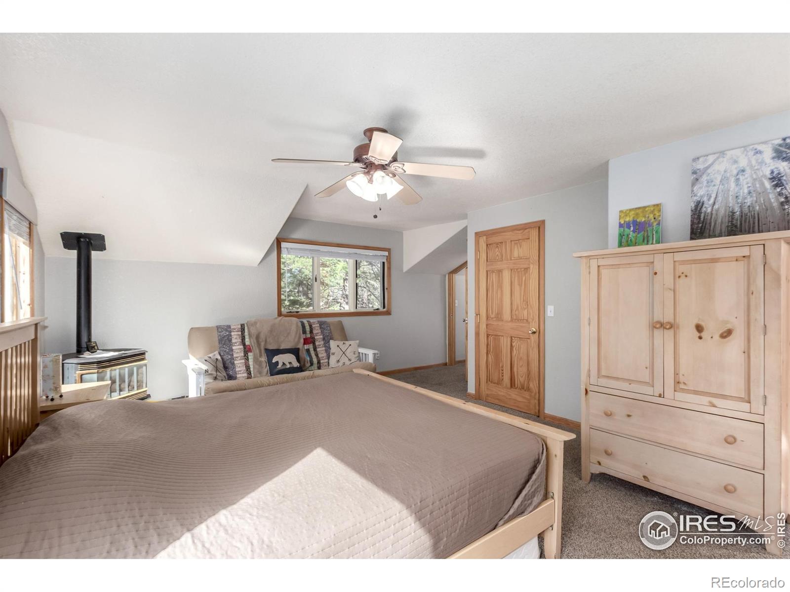 MLS Image #16 for 7593  county road 68 ,bailey, Colorado