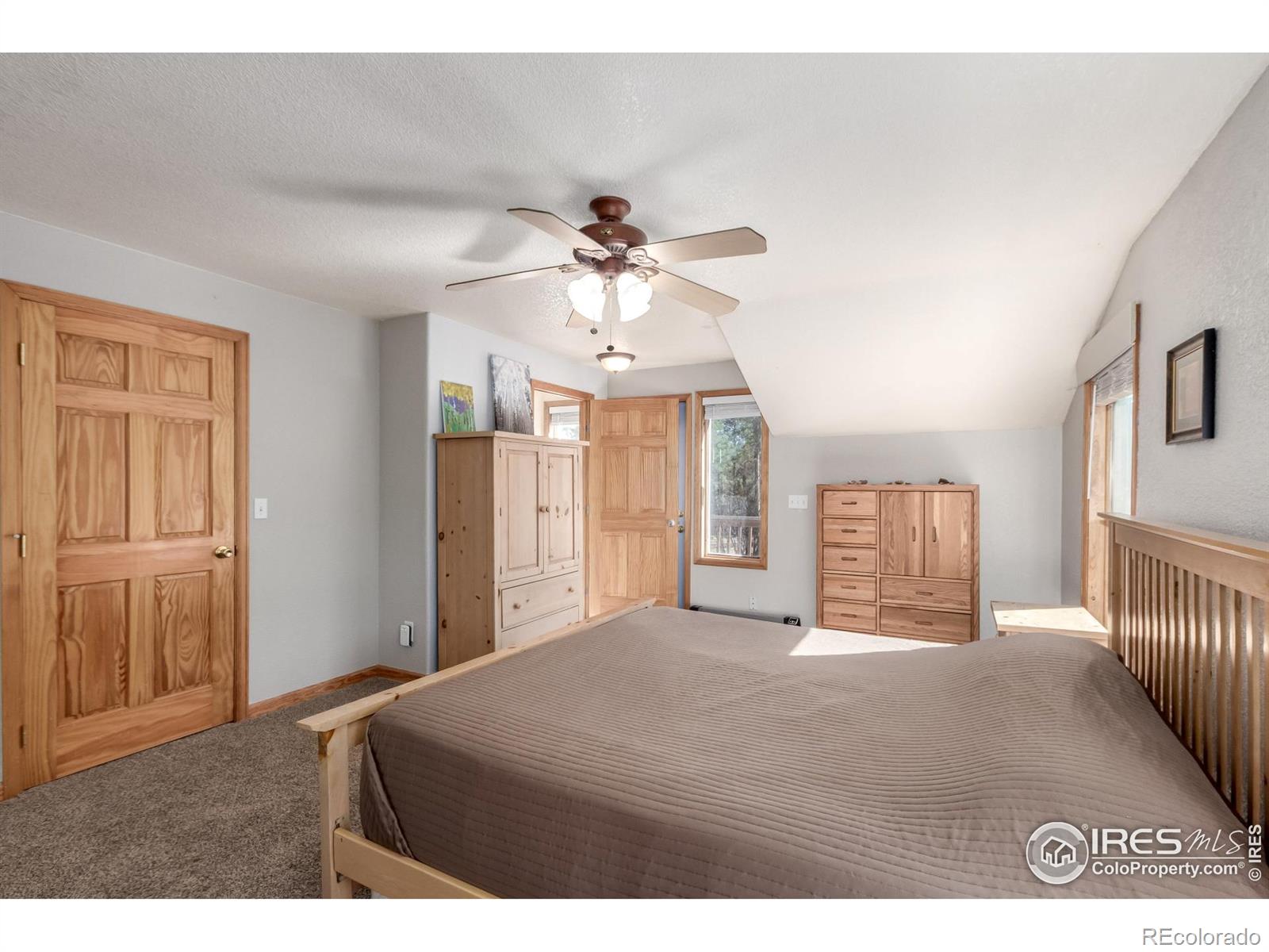 MLS Image #19 for 7593  county road 68 ,bailey, Colorado