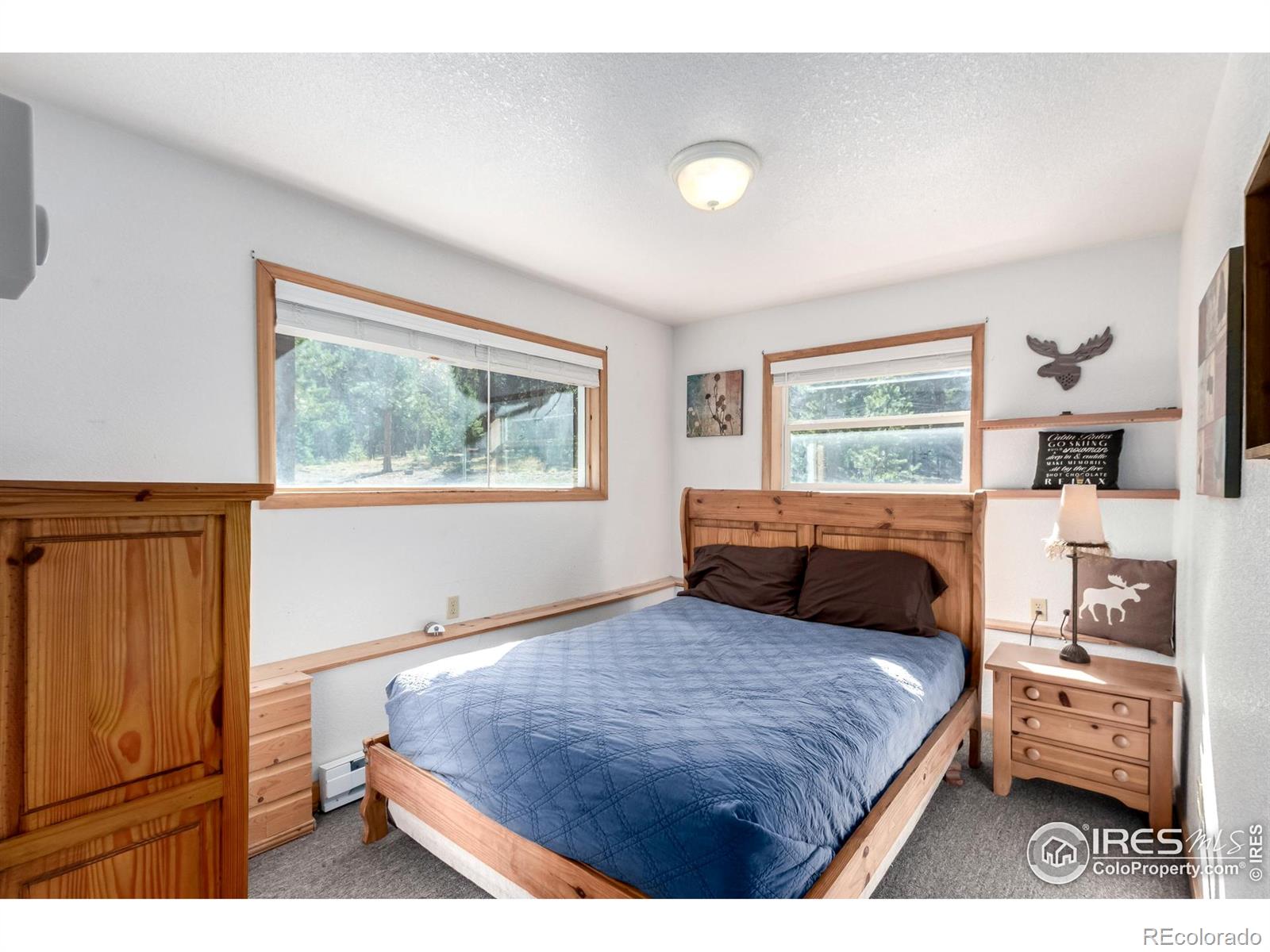 MLS Image #21 for 7593  county road 68 ,bailey, Colorado