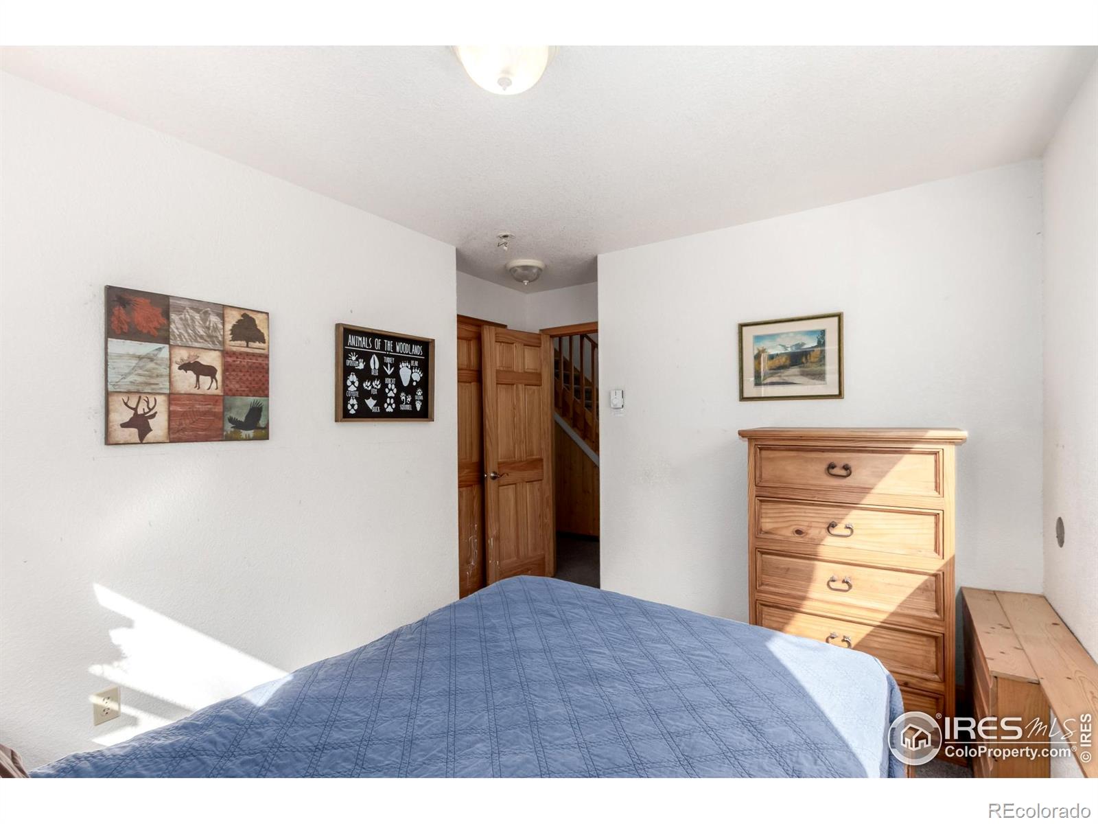 MLS Image #22 for 7593  county road 68 ,bailey, Colorado