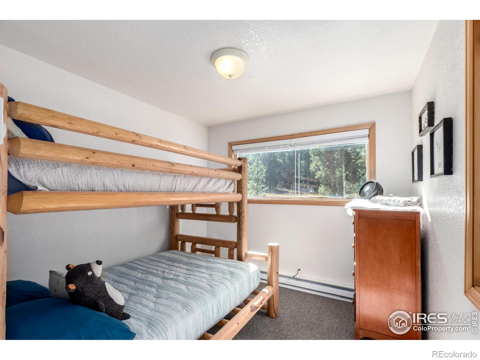 MLS Image #23 for 7593  county road 68 ,bailey, Colorado