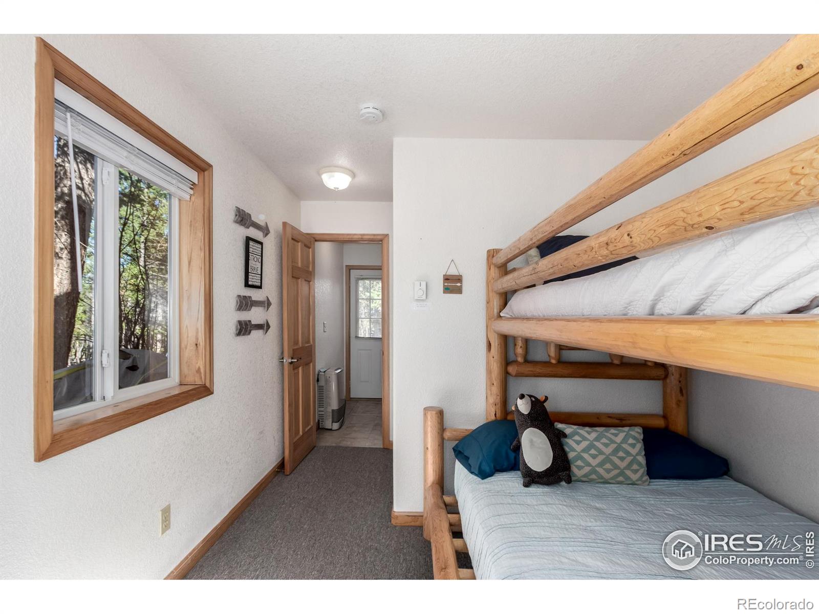 MLS Image #24 for 7593  county road 68 ,bailey, Colorado