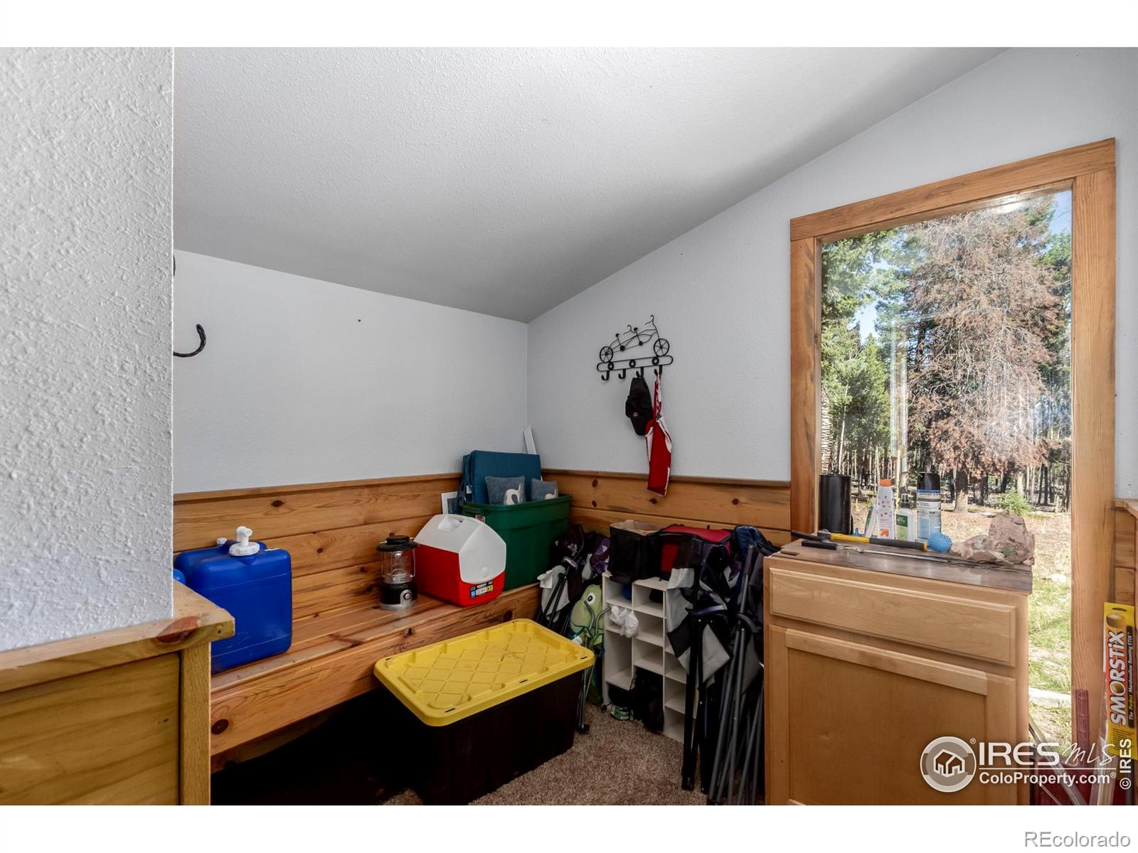MLS Image #28 for 7593  county road 68 ,bailey, Colorado