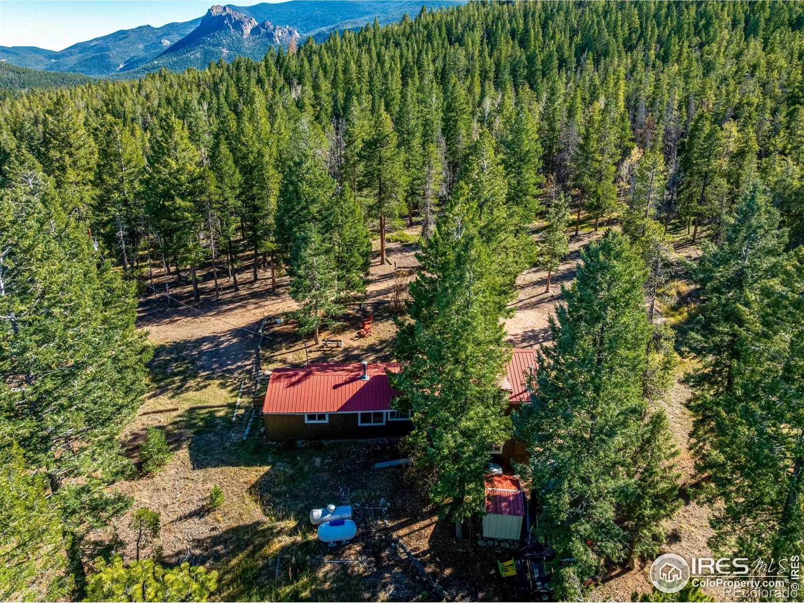 MLS Image #38 for 7593  county road 68 ,bailey, Colorado