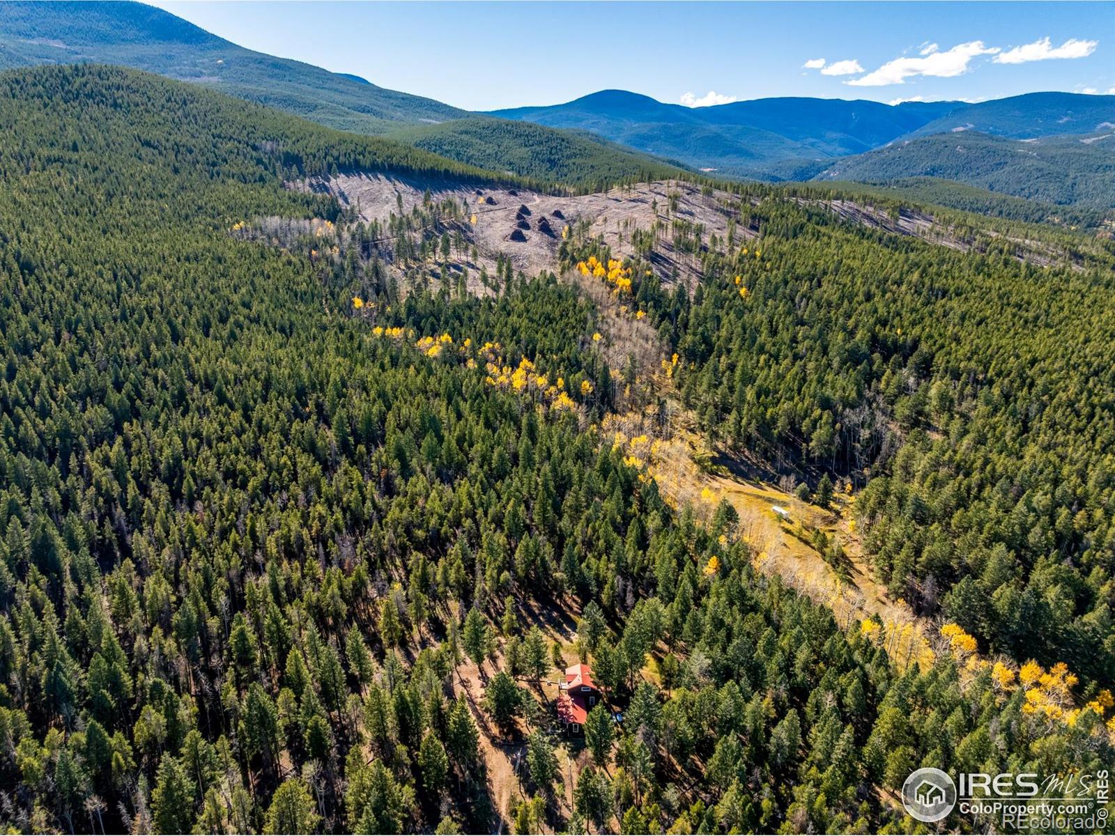 MLS Image #46 for 7593  county road 68 ,bailey, Colorado