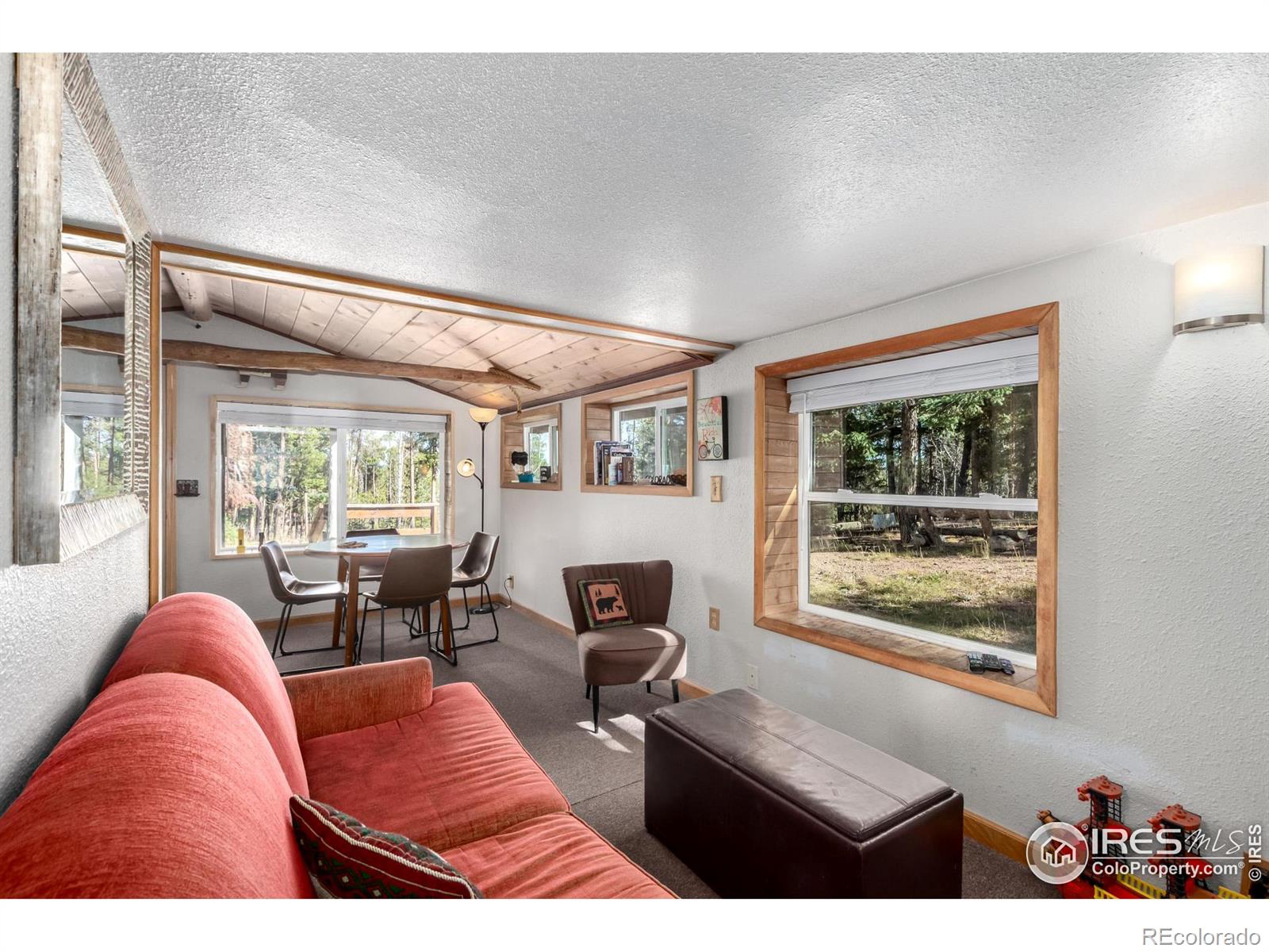 MLS Image #5 for 7593  county road 68 ,bailey, Colorado