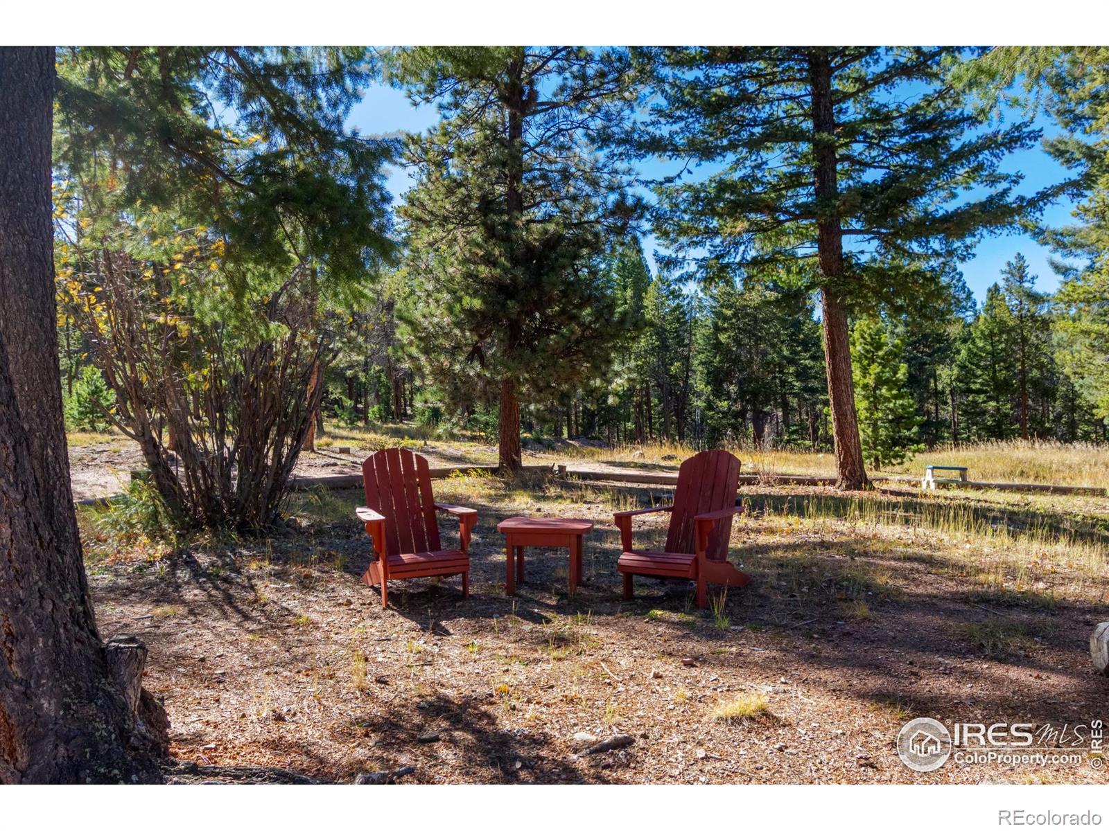 MLS Image #7 for 7593  county road 68 ,bailey, Colorado