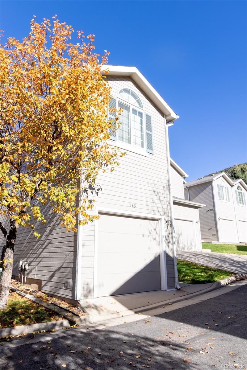 MLS Image #0 for 183  orchard drive,glenwood springs, Colorado