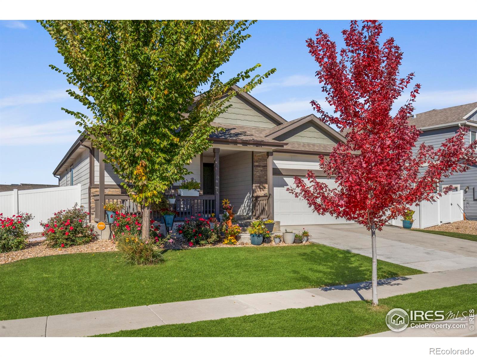 MLS Image #0 for 941  barasingha street,severance, Colorado