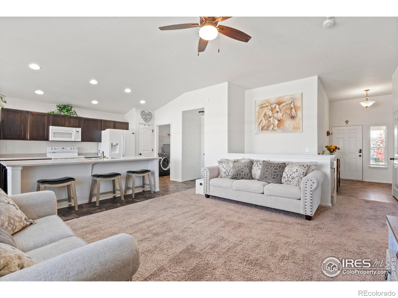 MLS Image #10 for 941  barasingha street,severance, Colorado