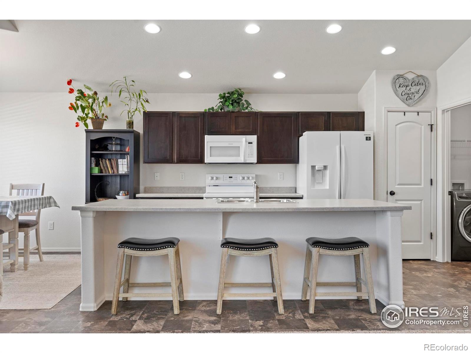 MLS Image #15 for 941  barasingha street,severance, Colorado