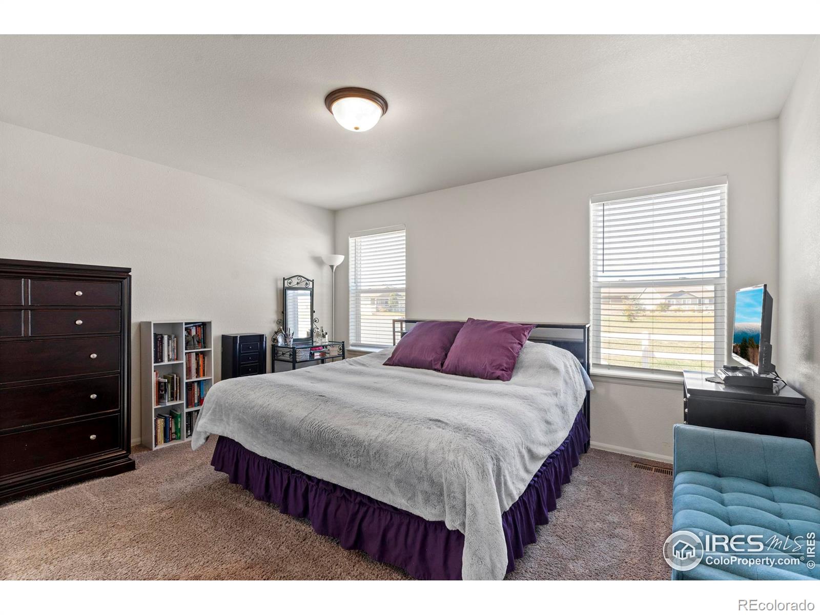 MLS Image #17 for 941  barasingha street,severance, Colorado