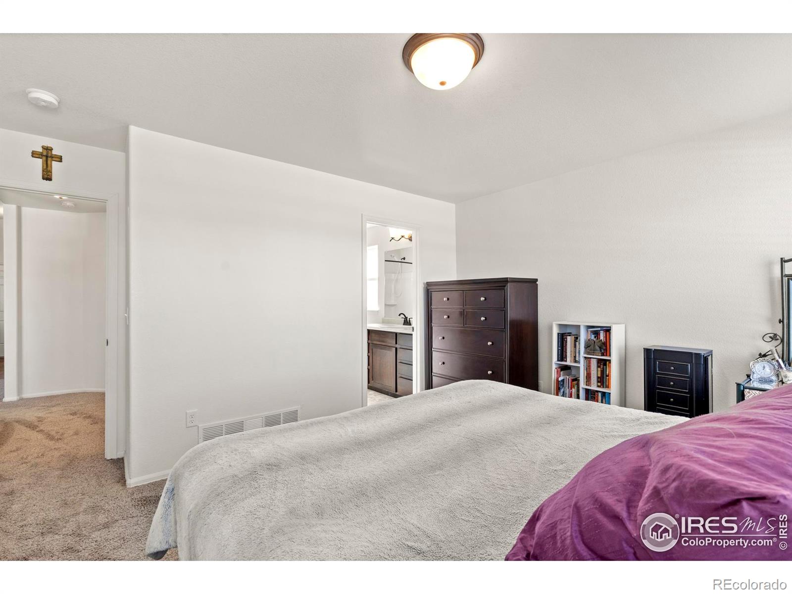 MLS Image #18 for 941  barasingha street,severance, Colorado