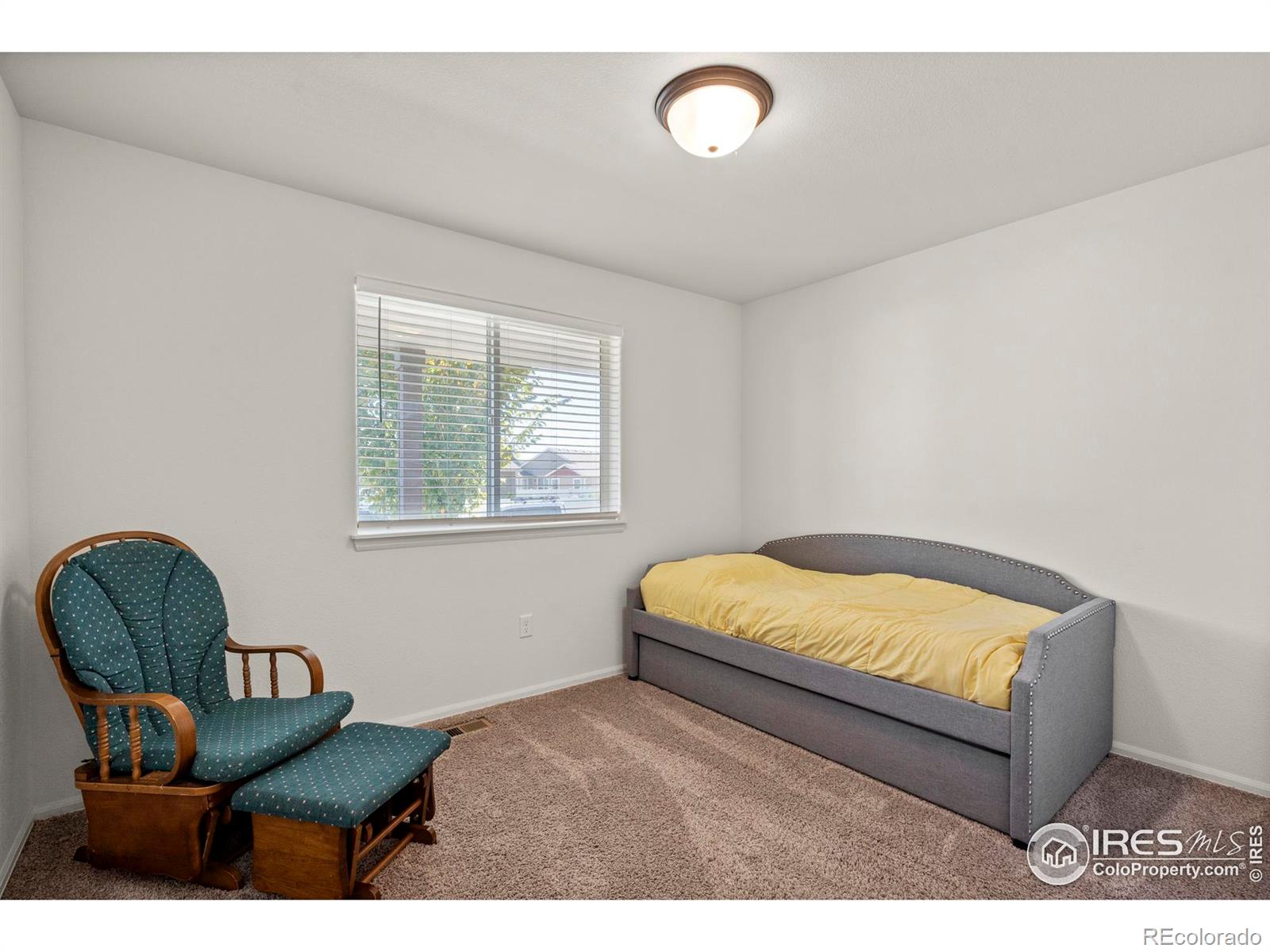 MLS Image #20 for 941  barasingha street,severance, Colorado