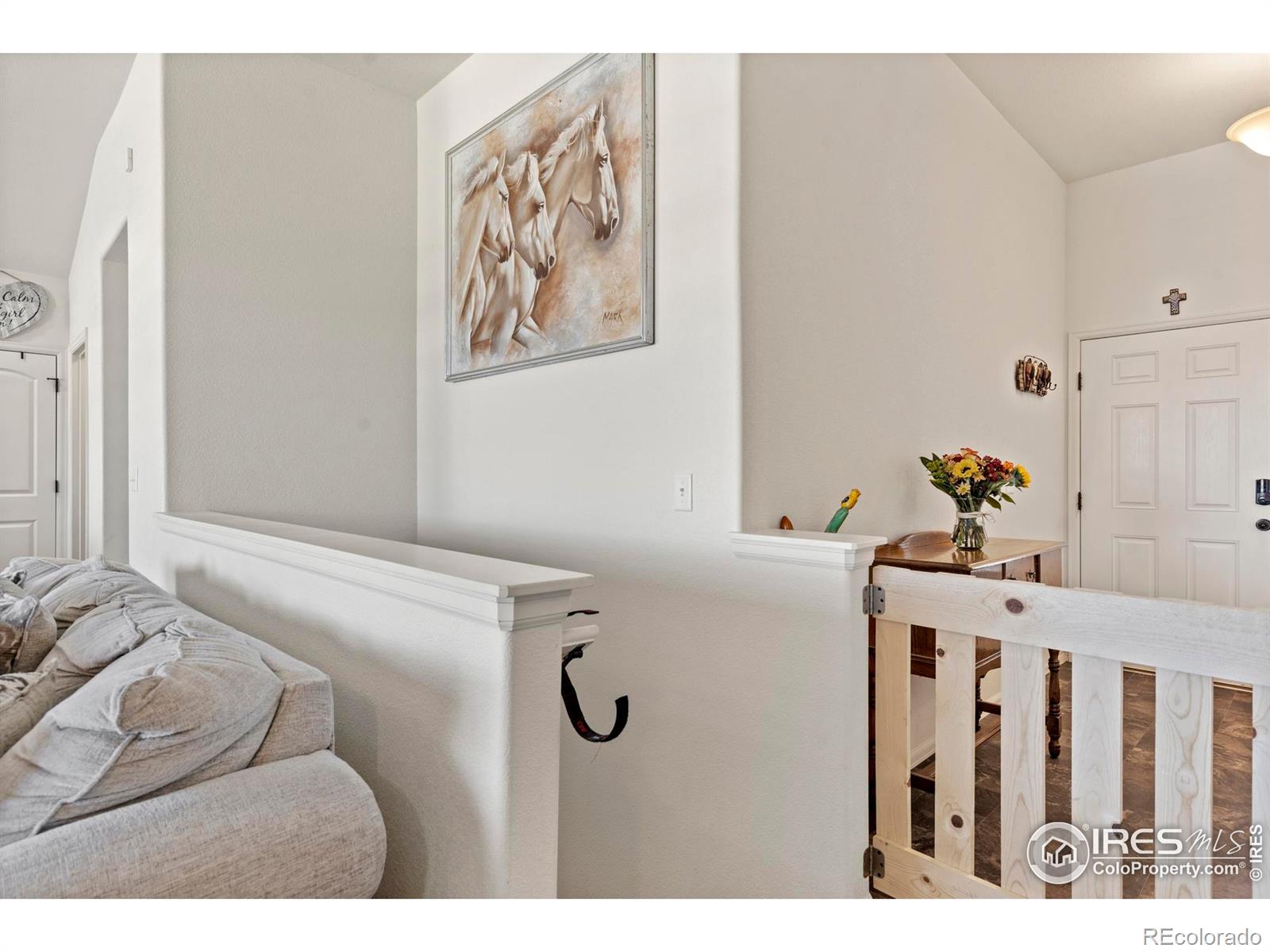 MLS Image #23 for 941  barasingha street,severance, Colorado