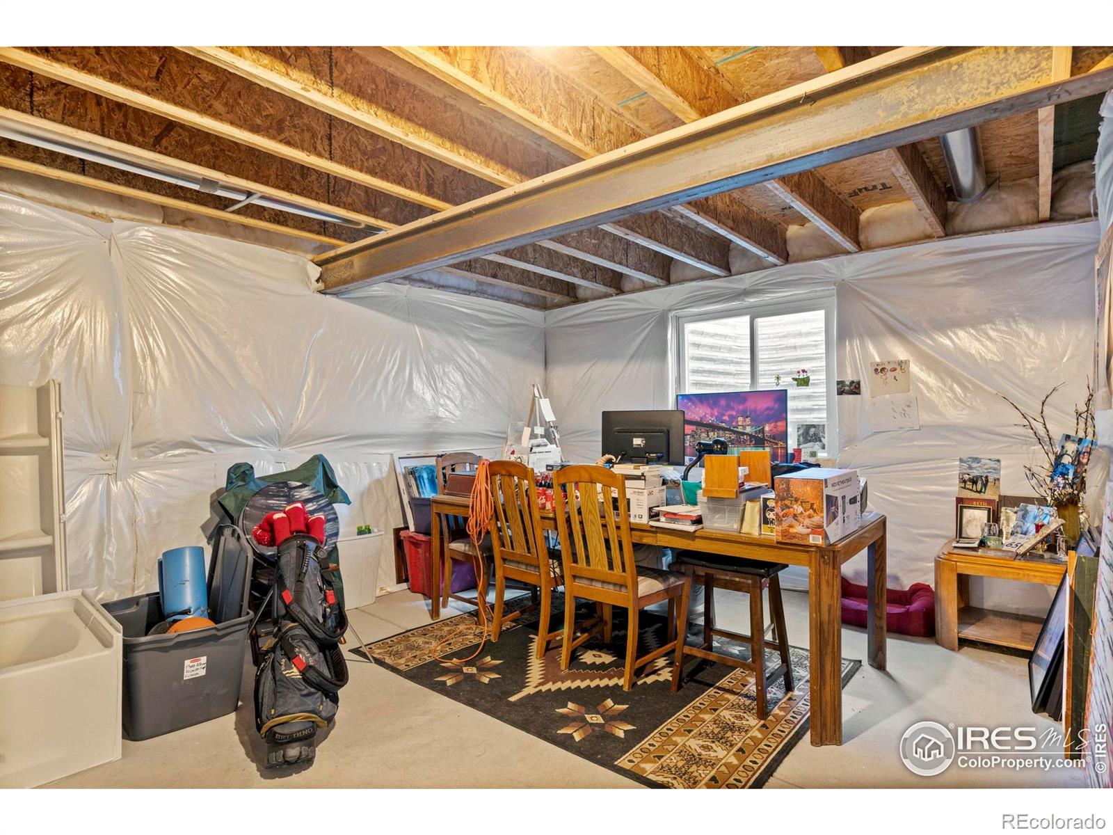 MLS Image #27 for 941  barasingha street,severance, Colorado