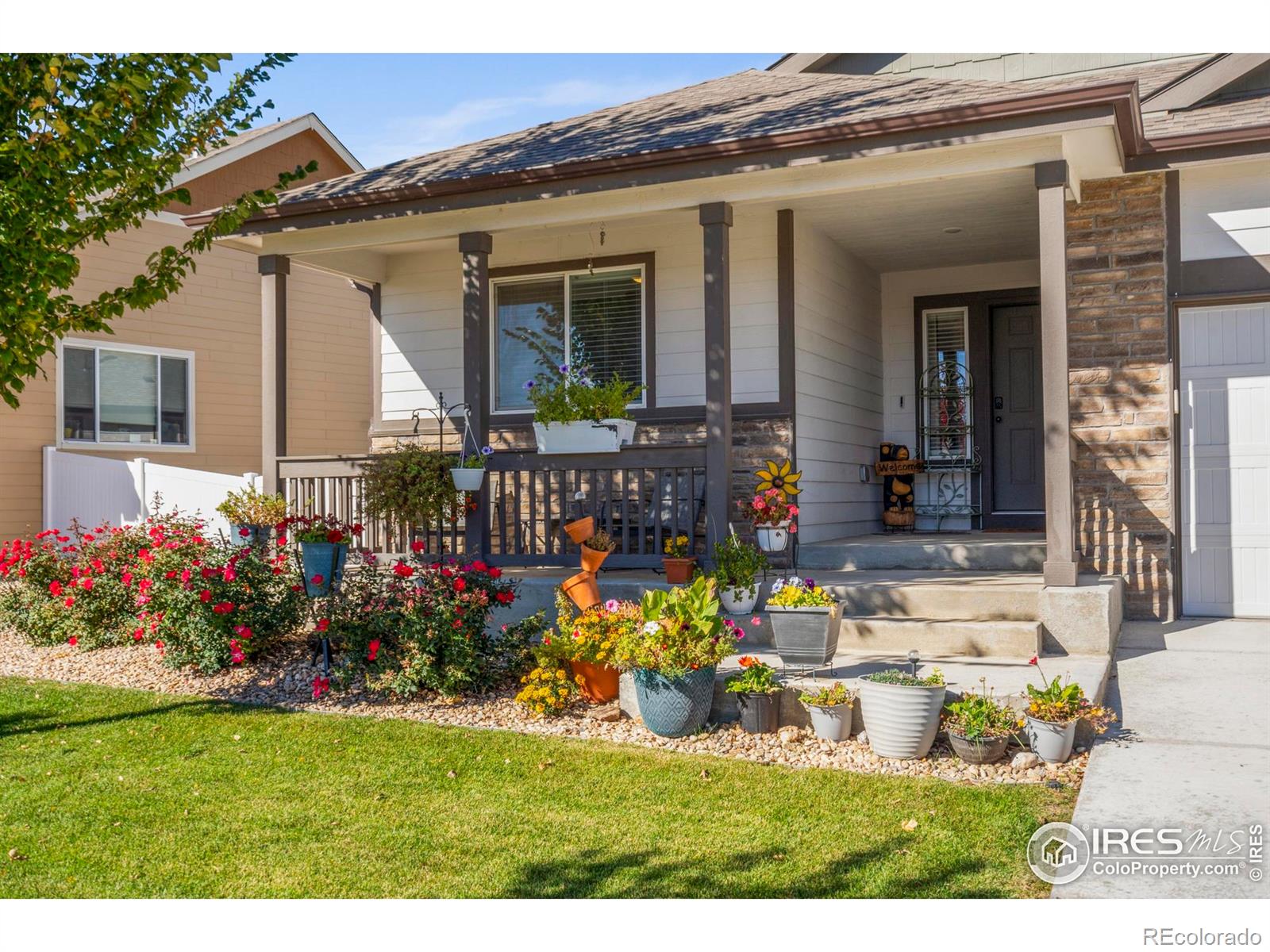 MLS Image #4 for 941  barasingha street,severance, Colorado