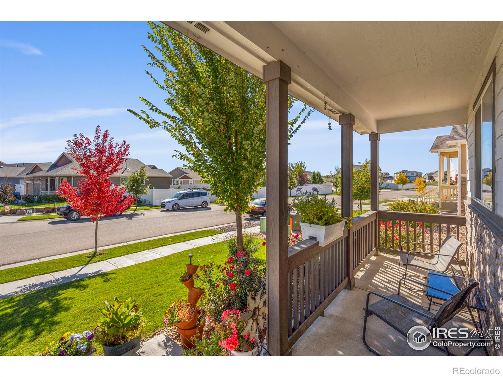 MLS Image #5 for 941  barasingha street,severance, Colorado