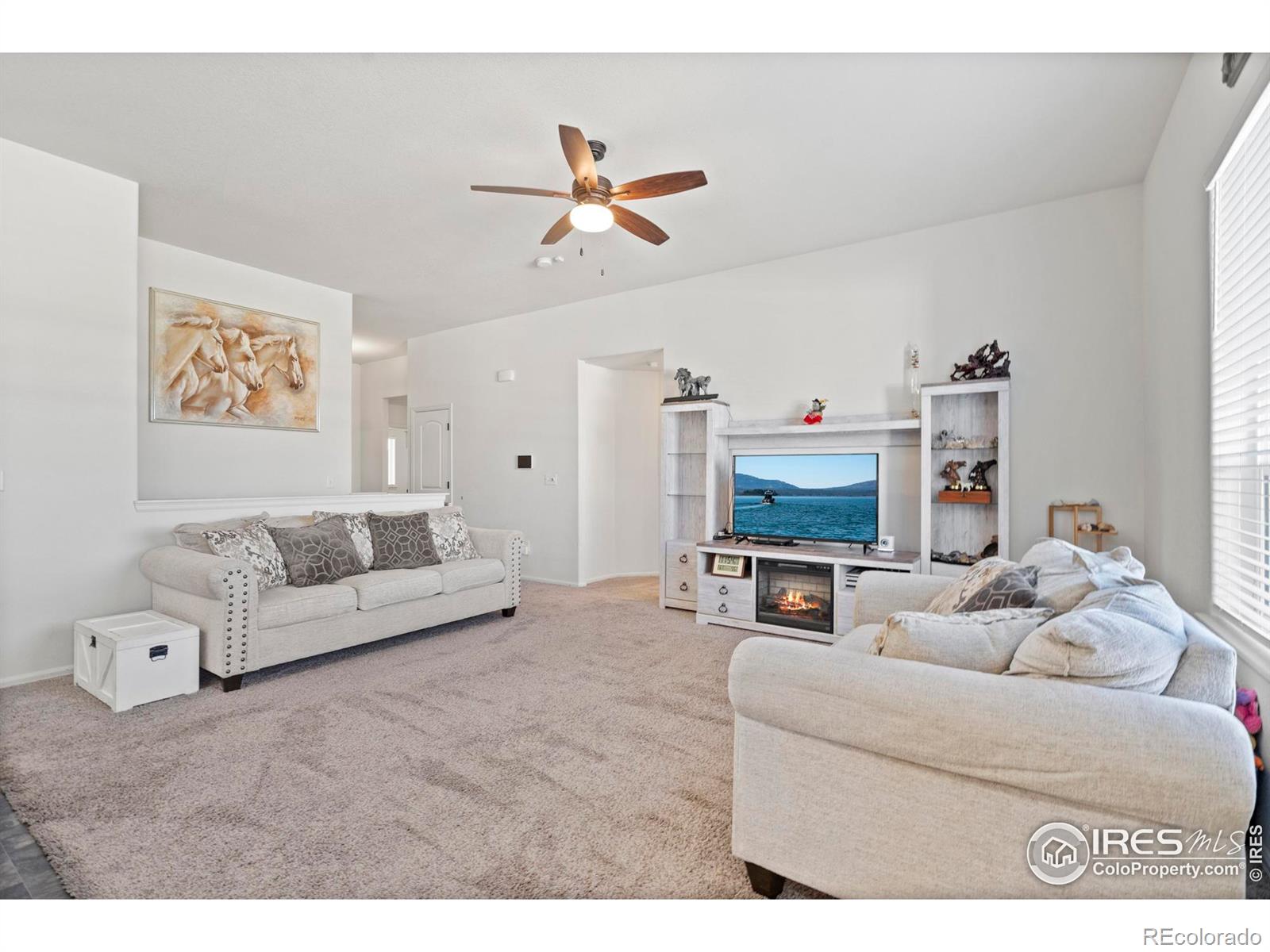 MLS Image #9 for 941  barasingha street,severance, Colorado