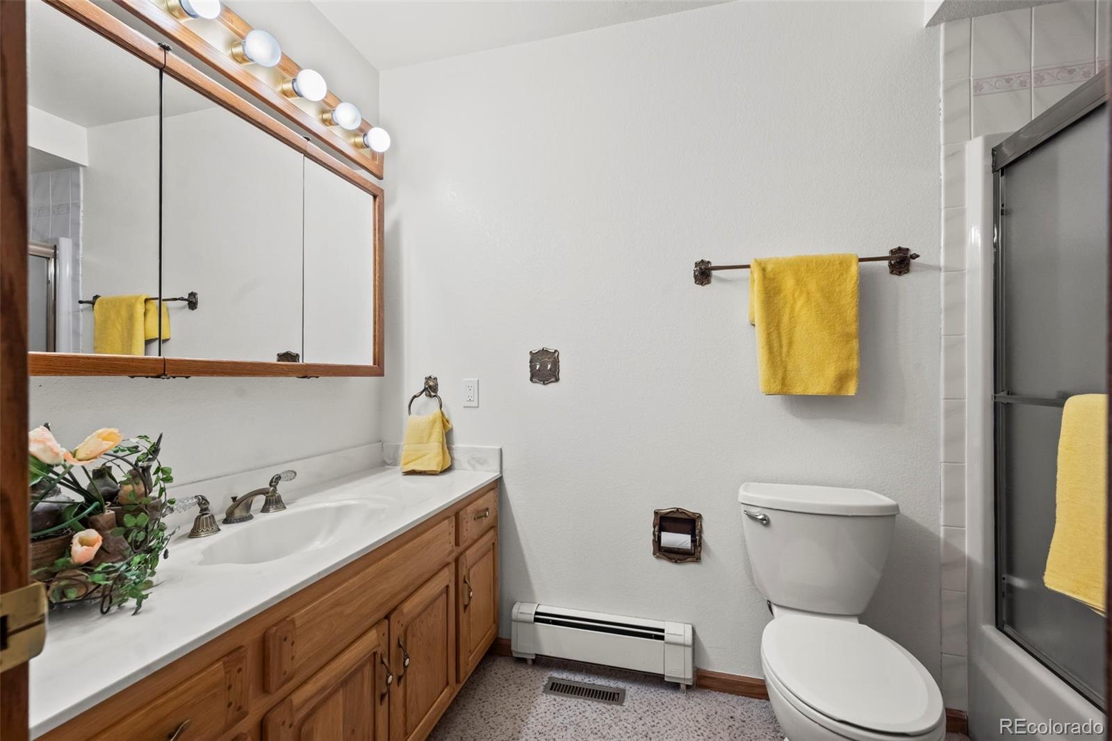 MLS Image #11 for 13  curtis court,broomfield, Colorado