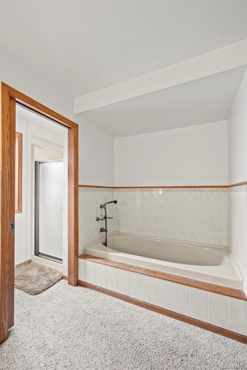 MLS Image #17 for 13  curtis court,broomfield, Colorado