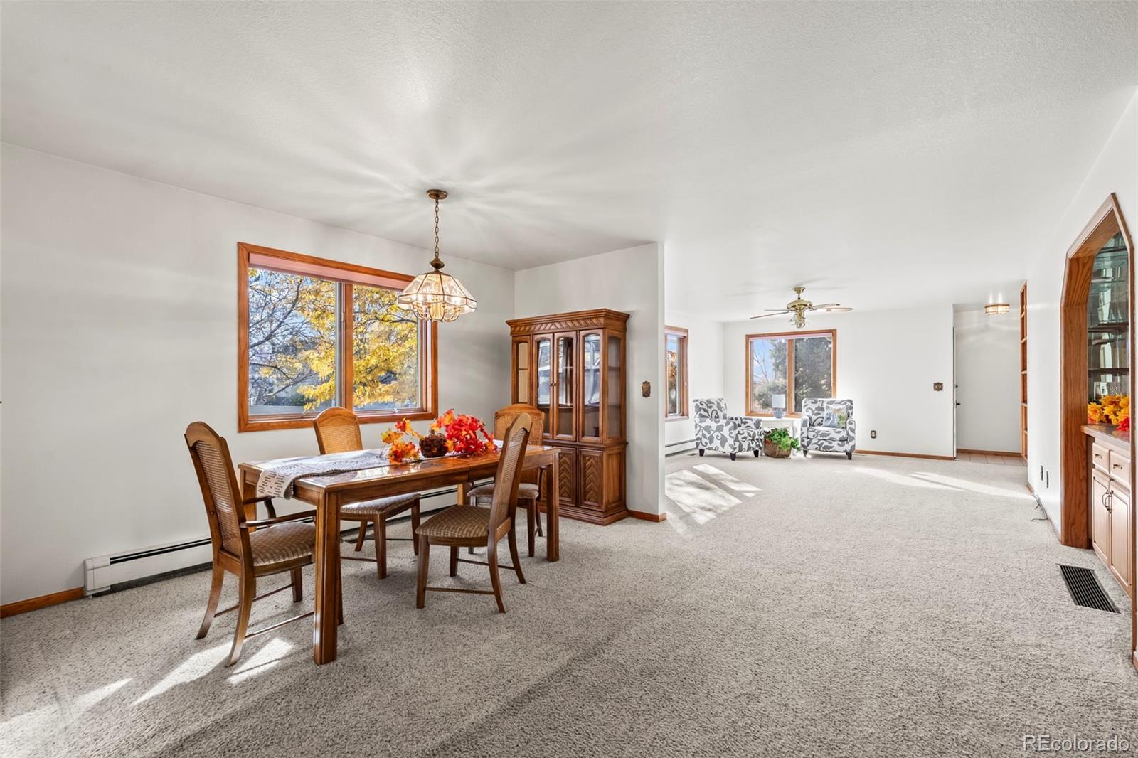 MLS Image #3 for 13  curtis court,broomfield, Colorado