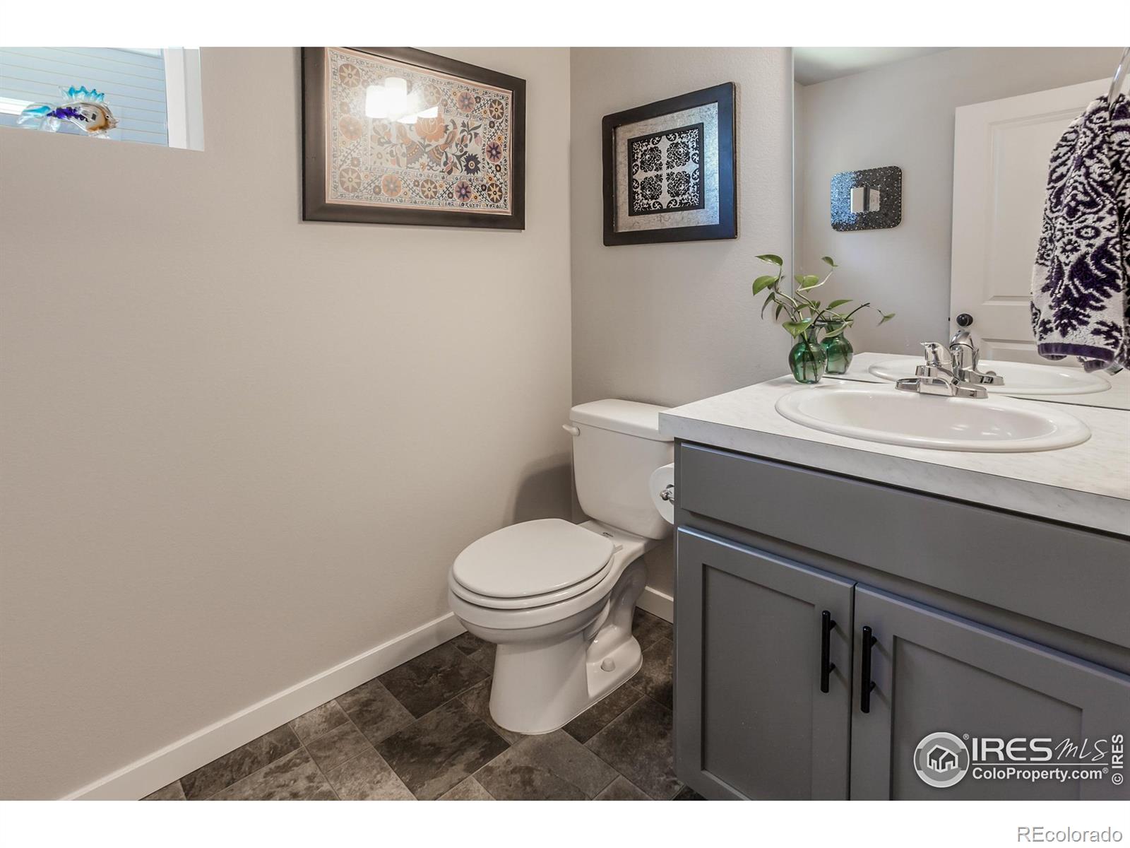 MLS Image #15 for 2721  conquest street,fort collins, Colorado