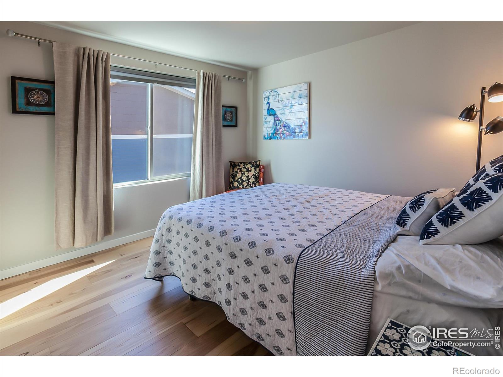 MLS Image #19 for 2721  conquest street,fort collins, Colorado