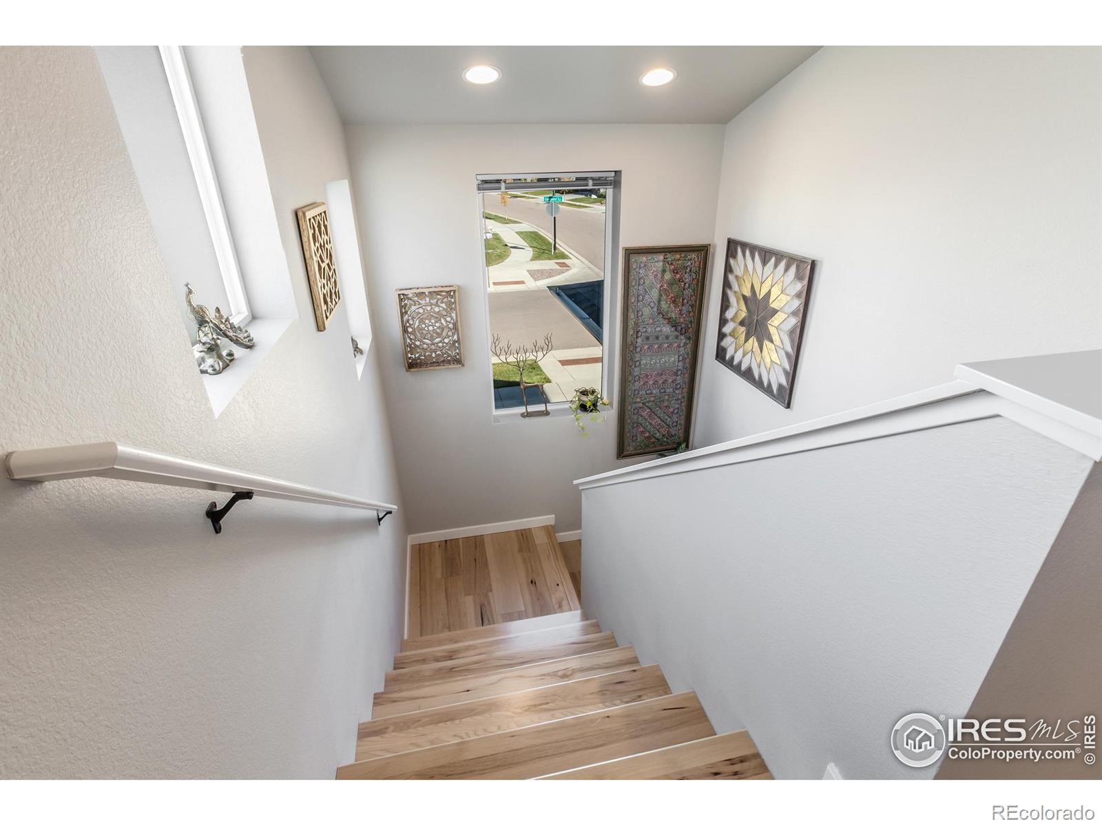 MLS Image #22 for 2721  conquest street,fort collins, Colorado