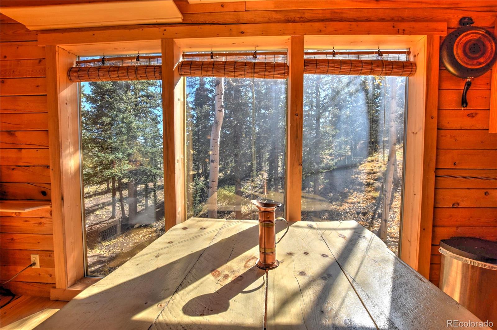 MLS Image #3 for 2377  stagestop rd ,jefferson, Colorado