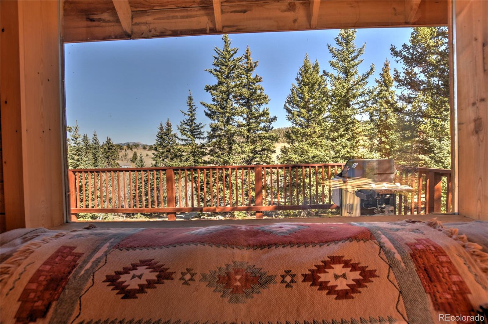 MLS Image #38 for 2377  stagestop rd ,jefferson, Colorado