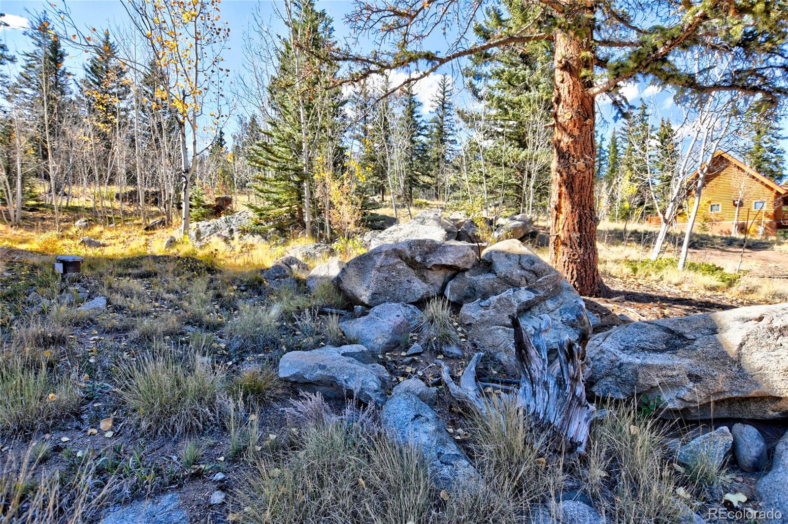 MLS Image #41 for 2377  stagestop rd ,jefferson, Colorado