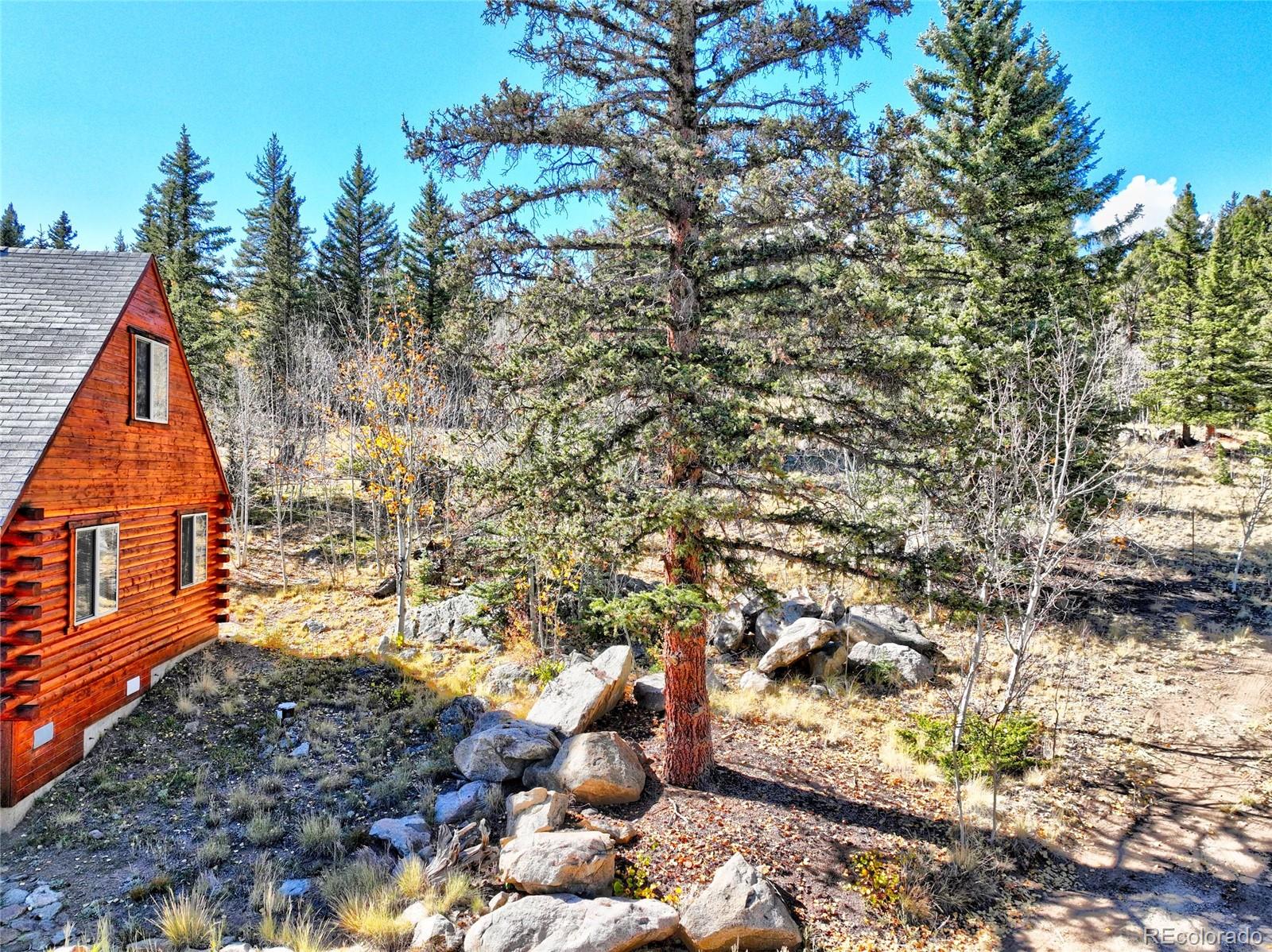 MLS Image #46 for 2377  stagestop rd ,jefferson, Colorado
