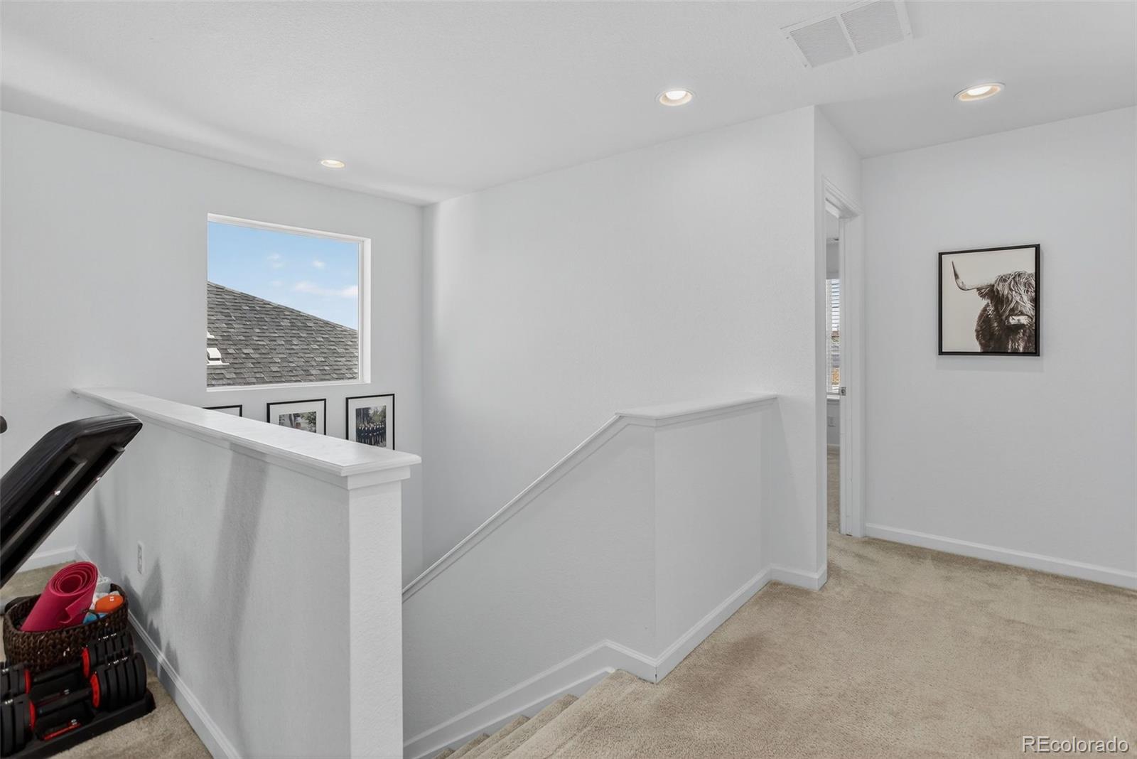 MLS Image #25 for 5365  gray wolf lane,castle rock, Colorado