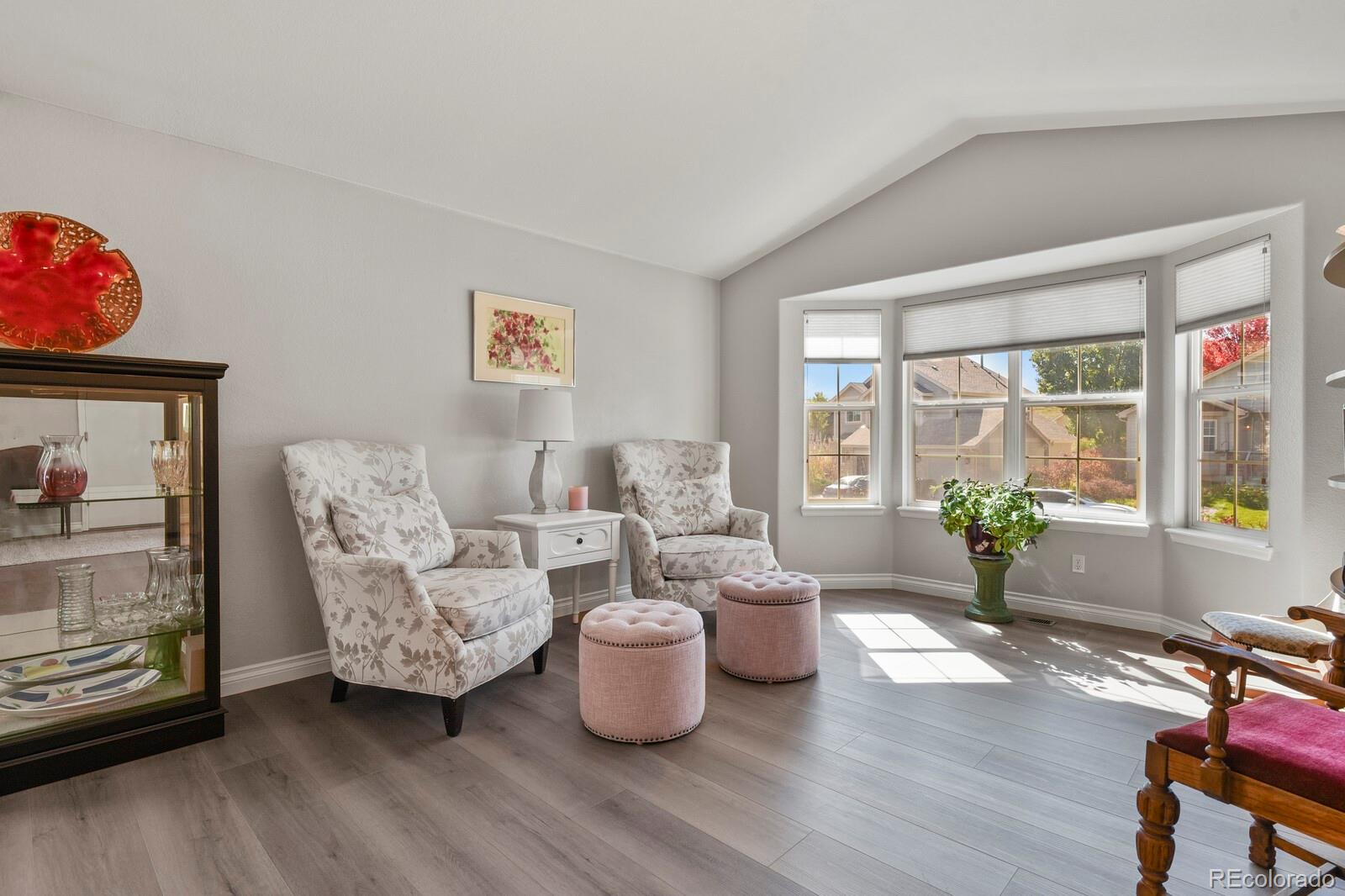 MLS Image #4 for 2204  jute lane,castle rock, Colorado