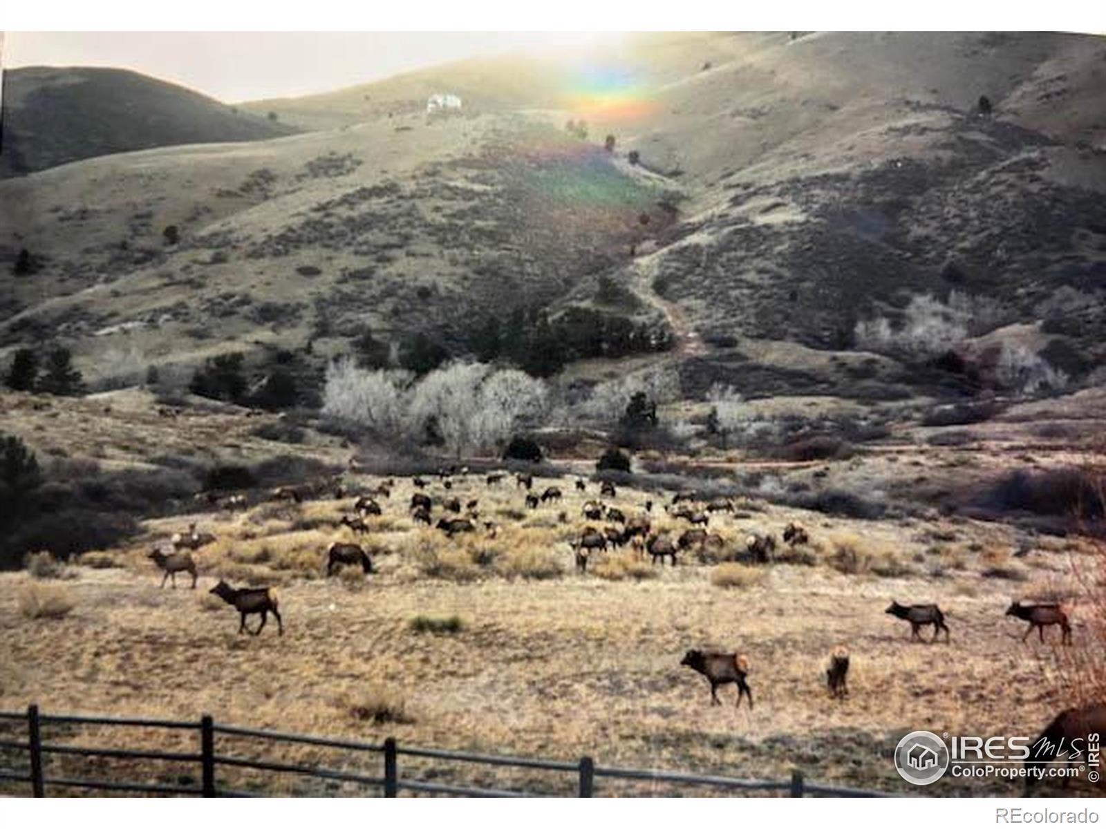 MLS Image #6 for 2420  ponderosa hill road,lyons, Colorado
